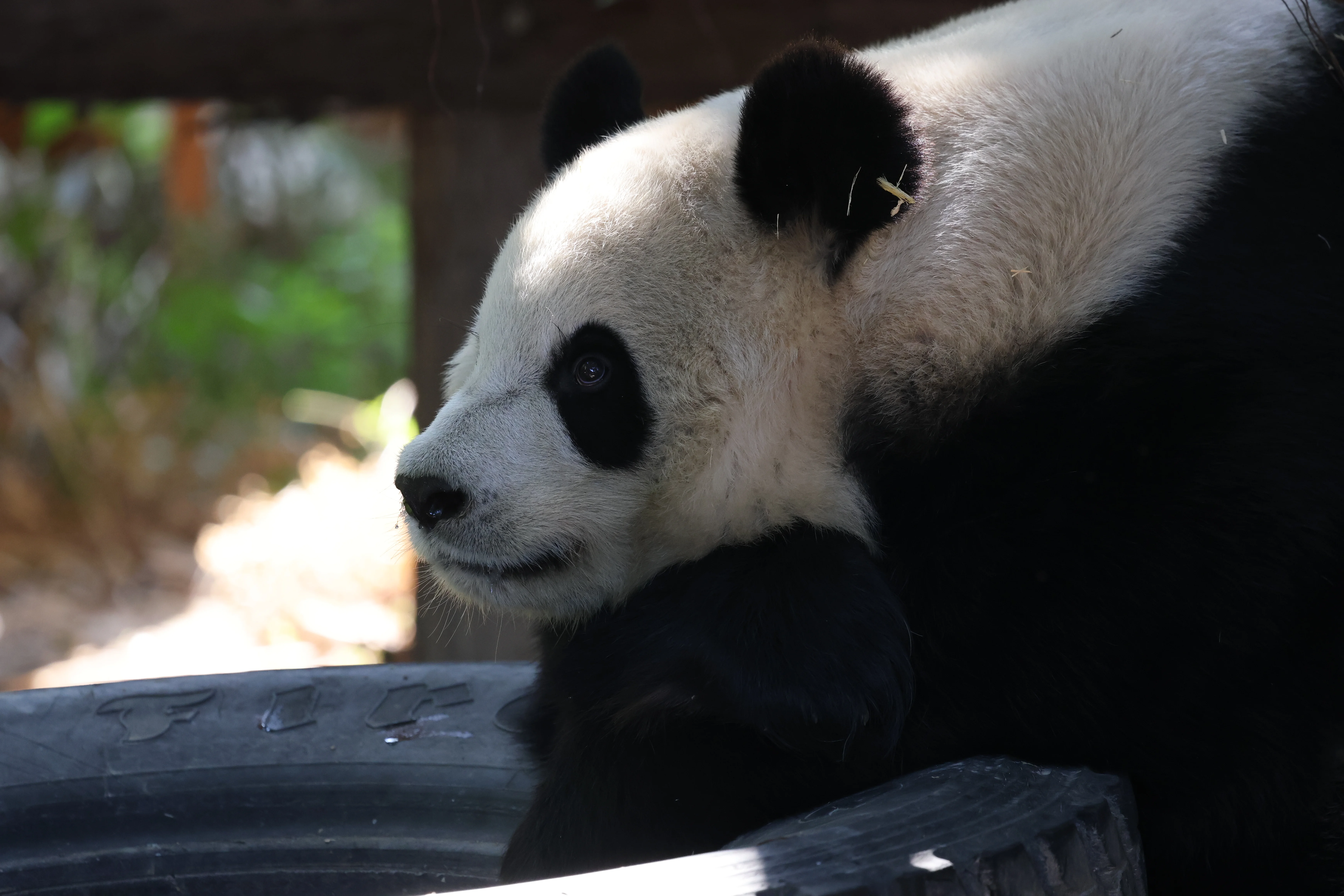 Quanzhou Haisi Safari Park