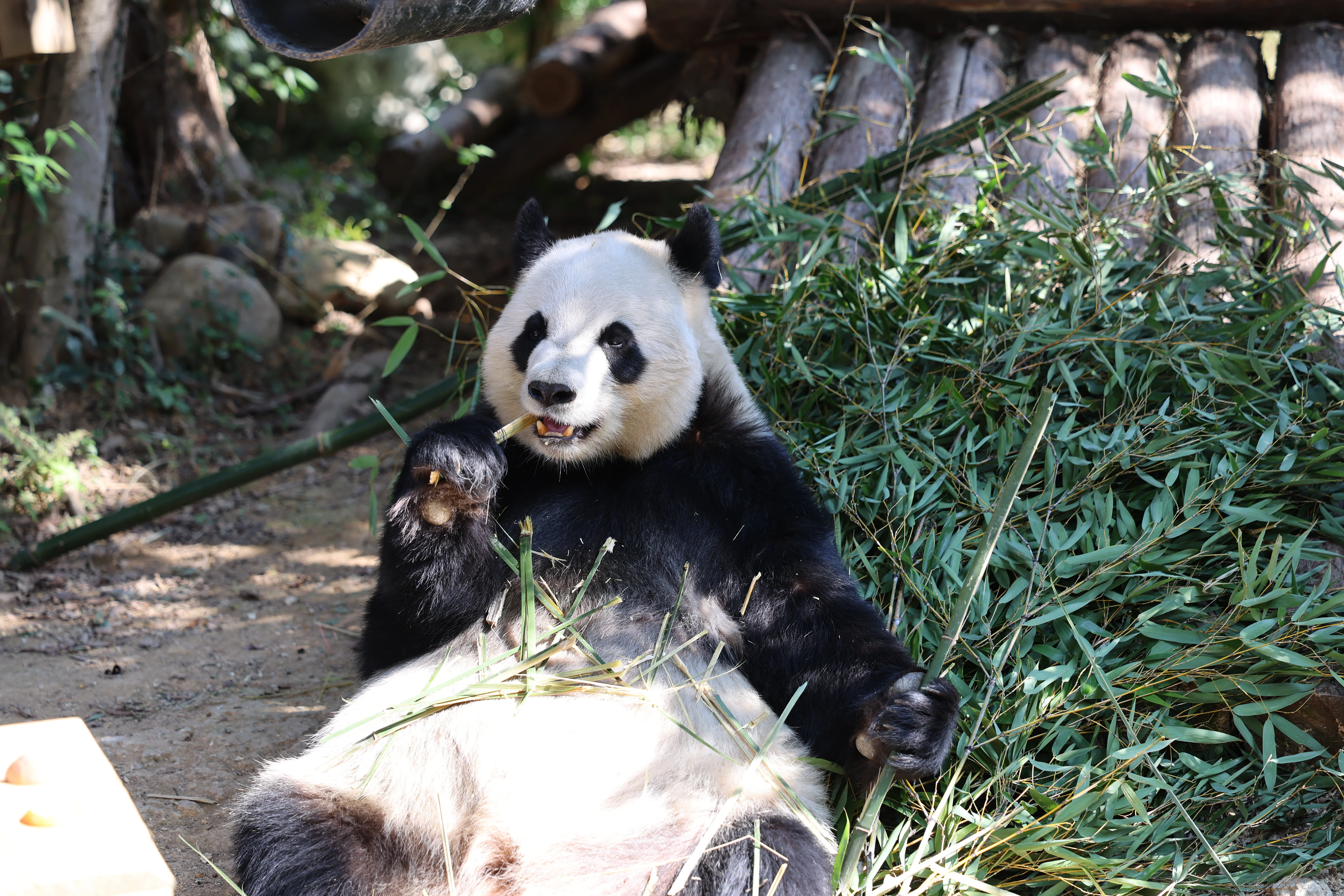 Quanzhou Haisi Safari Park