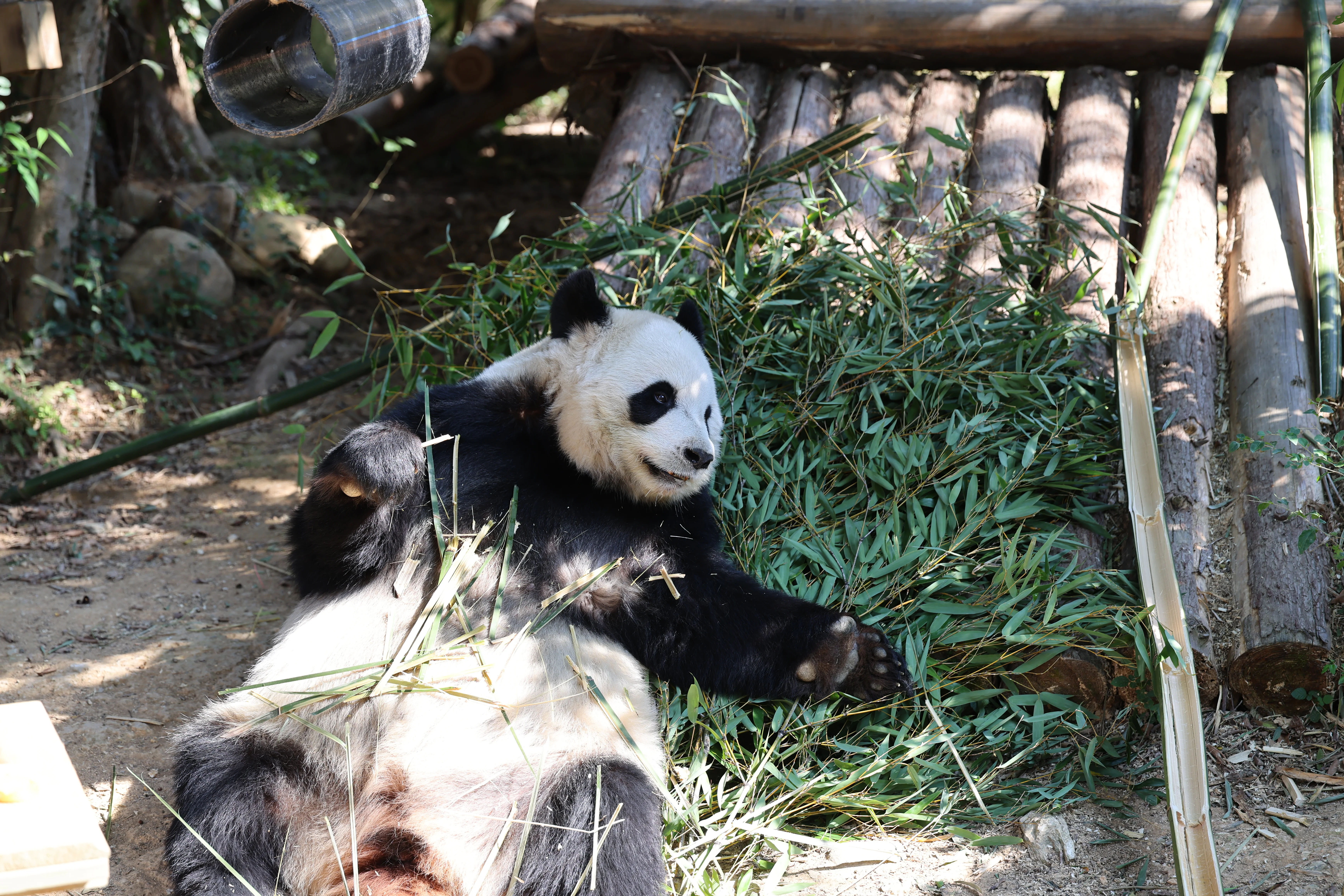 Quanzhou Haisi Safari Park