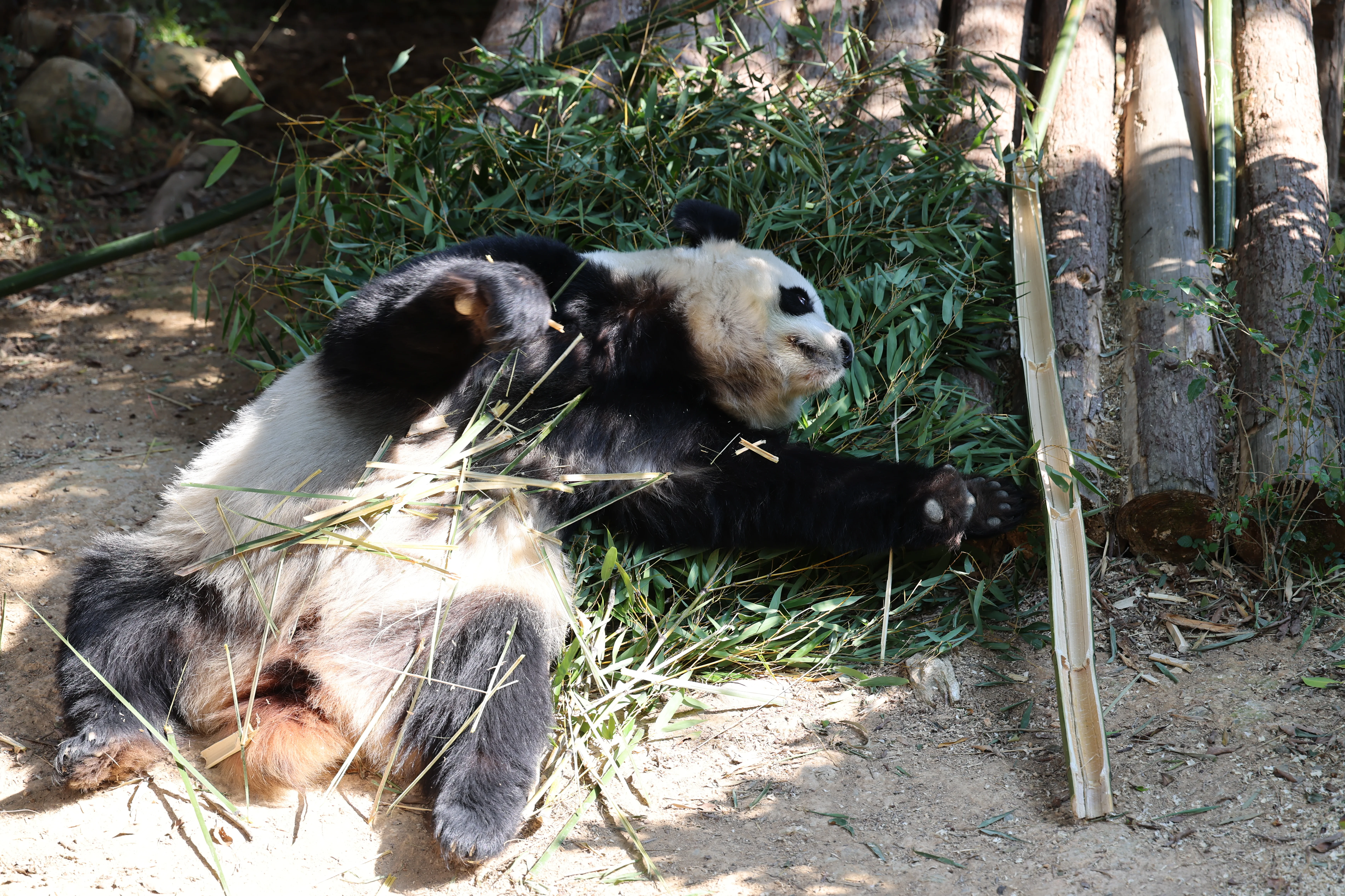 Quanzhou Haisi Safari Park