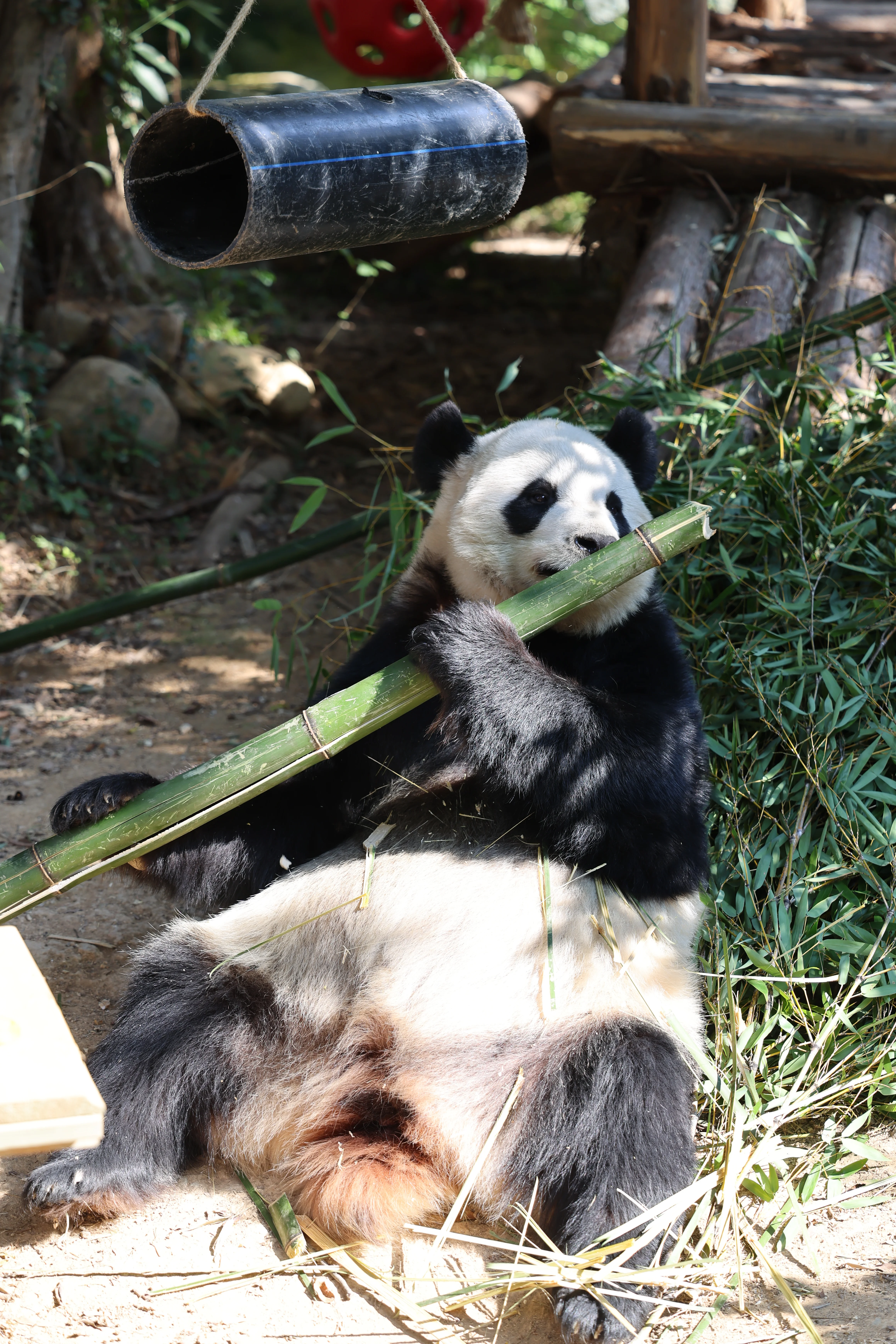 Quanzhou Haisi Safari Park
