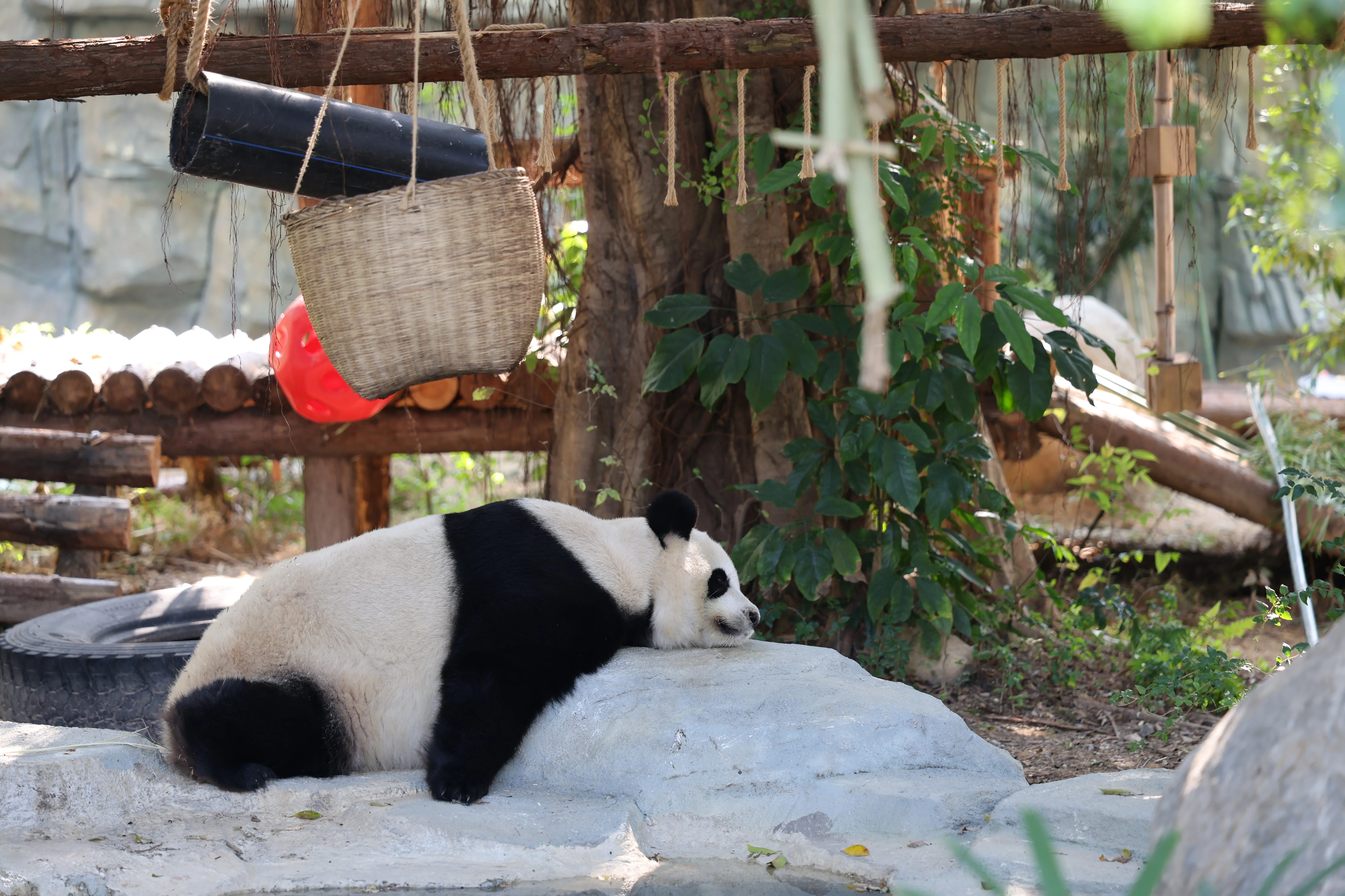 Quanzhou Haisi Safari Park