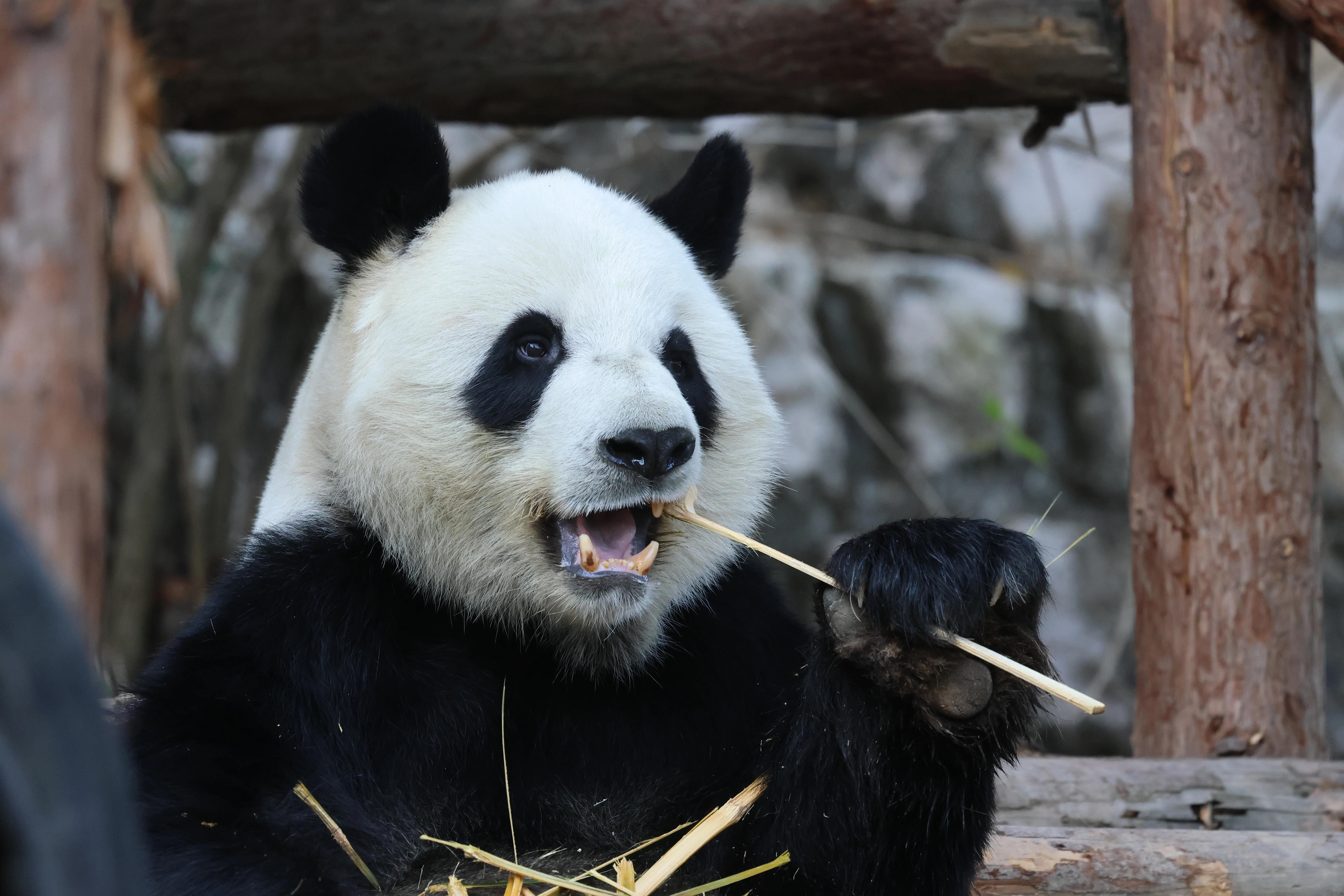 Quanzhou Haisi Safari Park