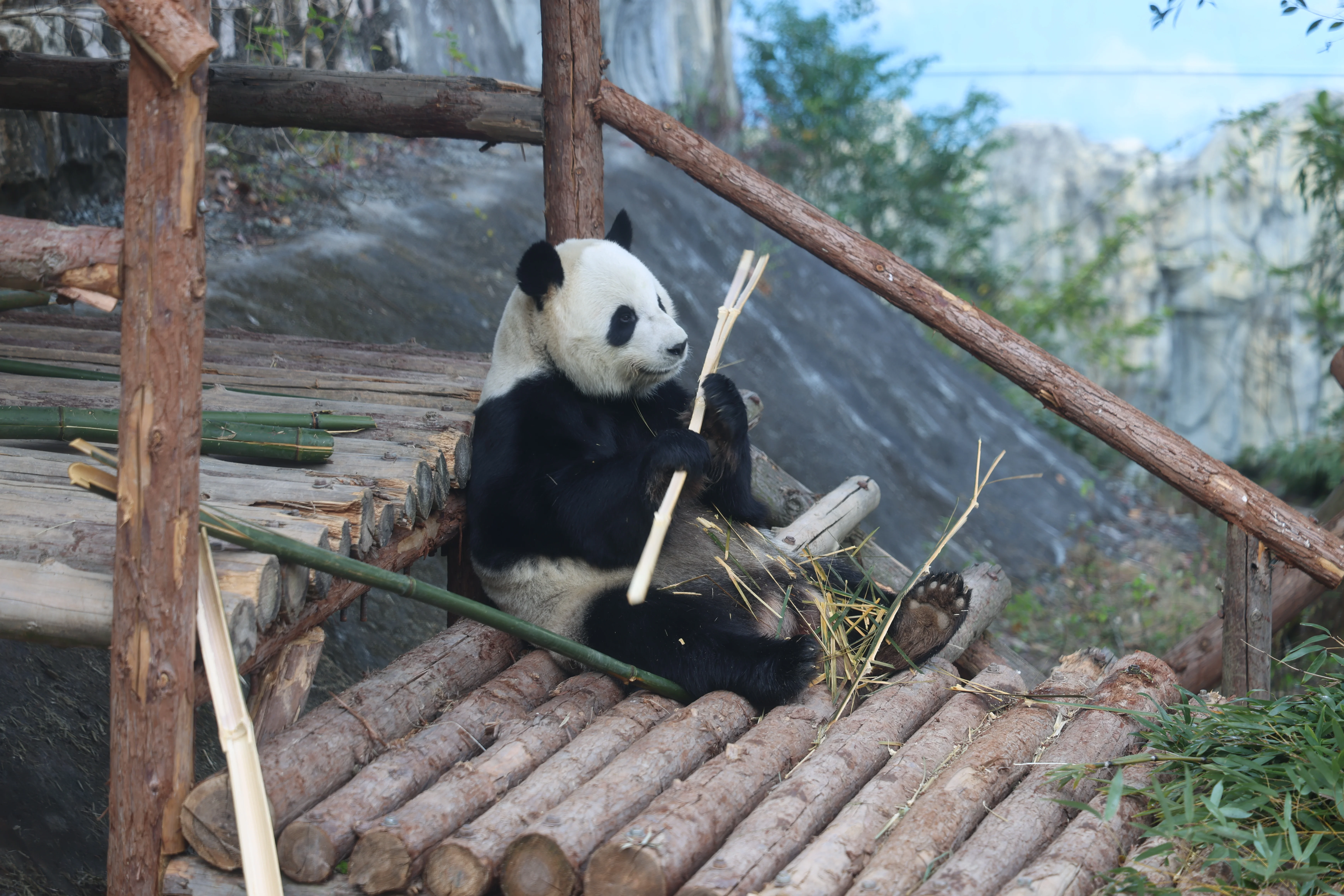 Quanzhou Haisi Safari Park