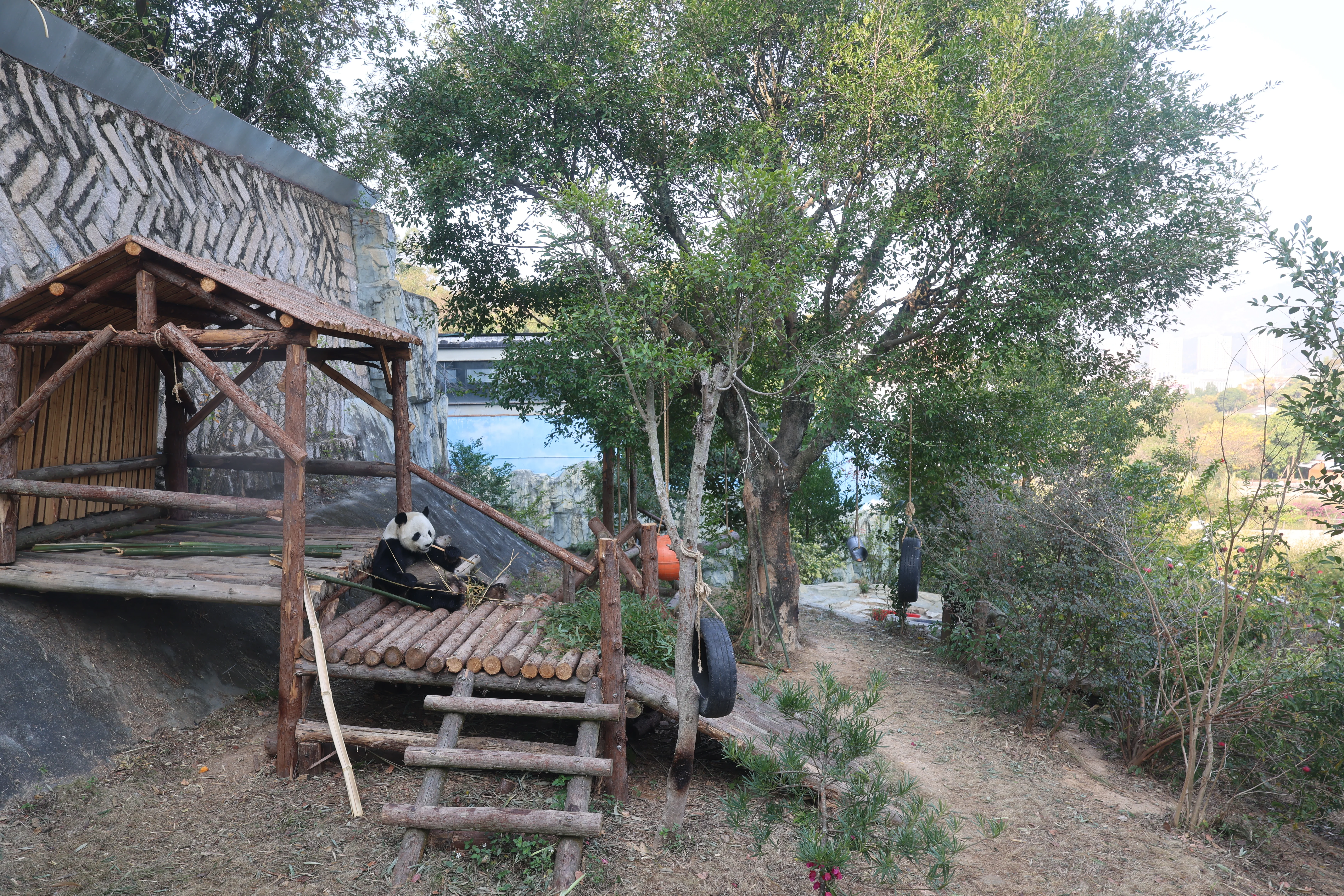 Quanzhou Haisi Safari Park
