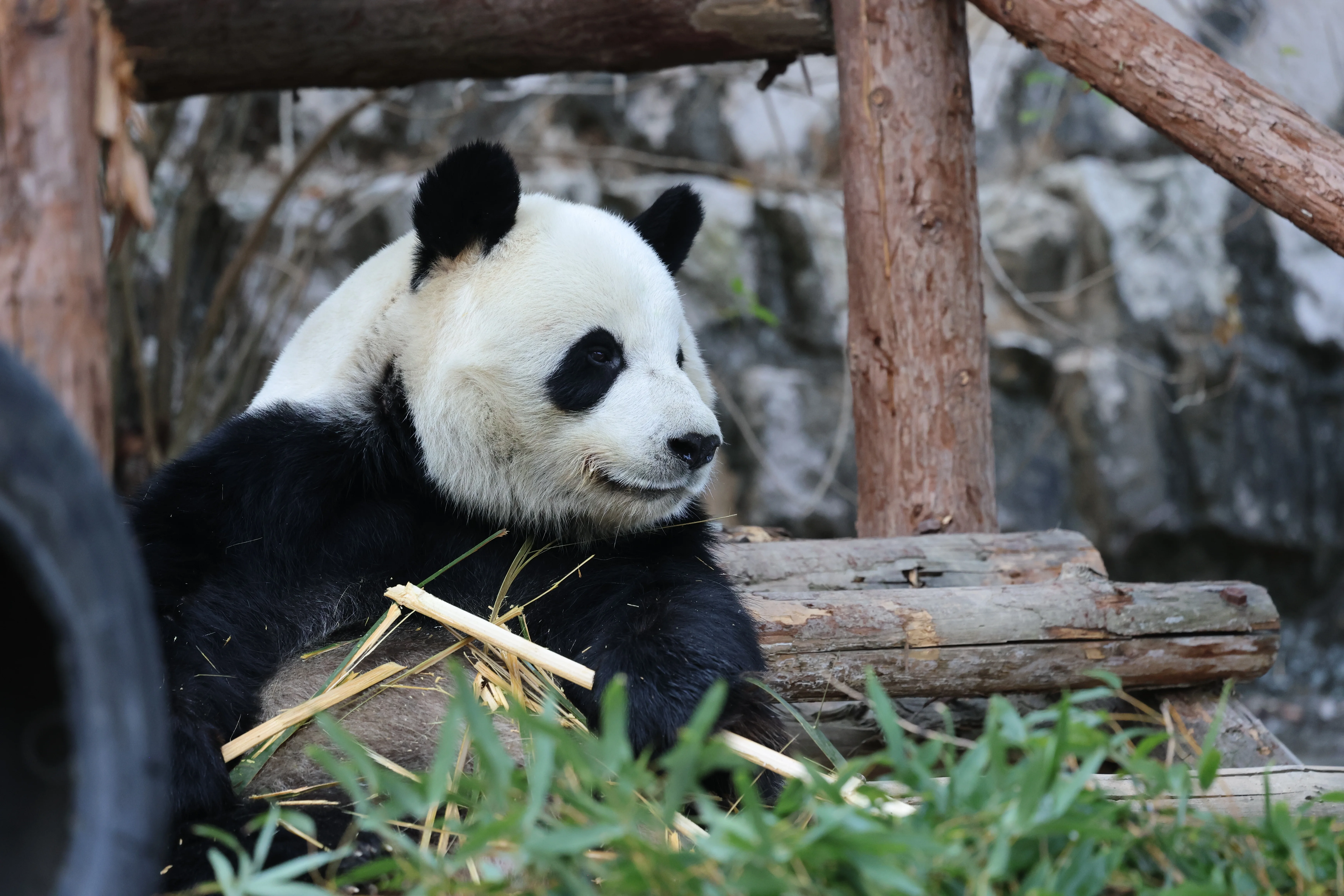Quanzhou Haisi Safari Park