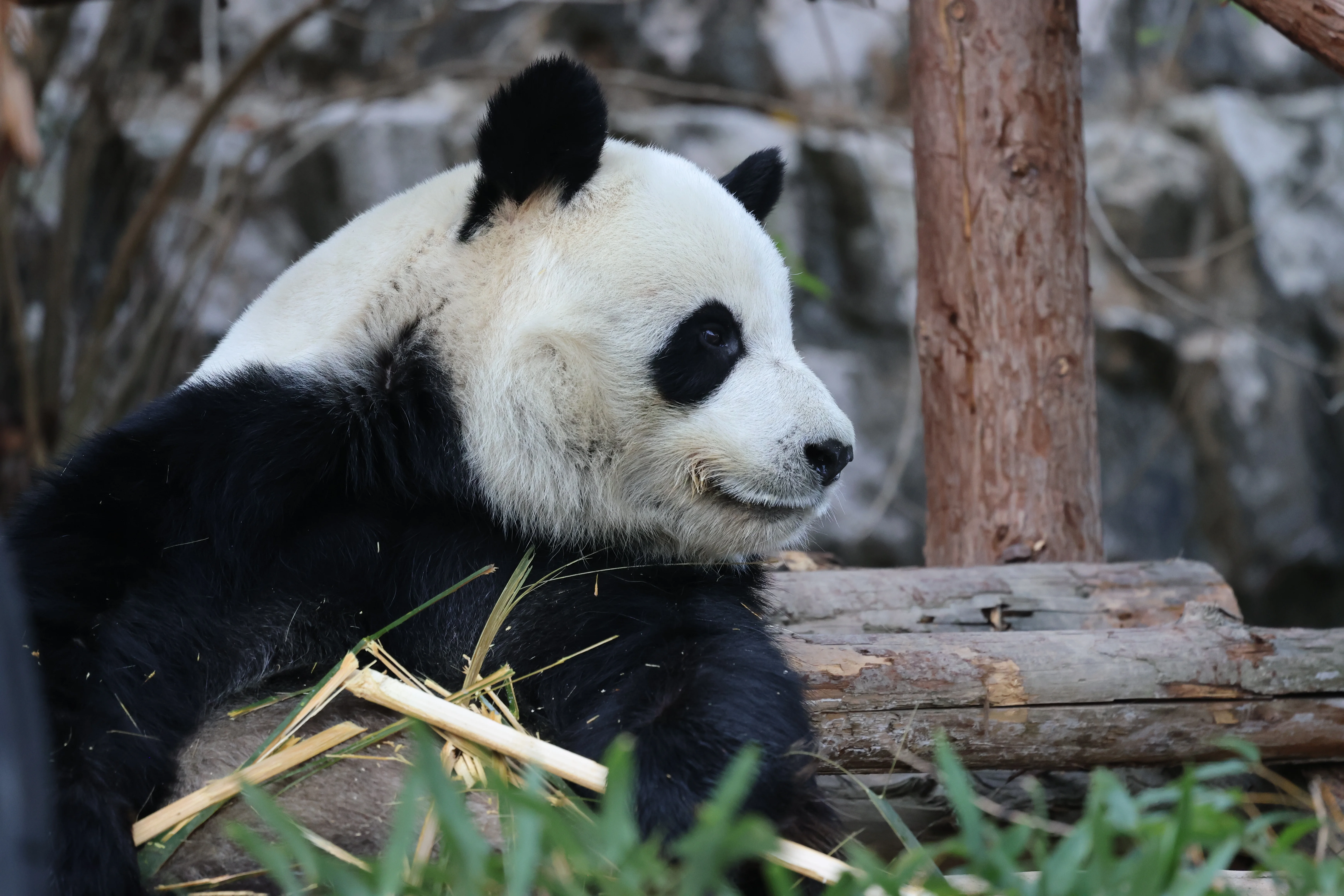 Quanzhou Haisi Safari Park