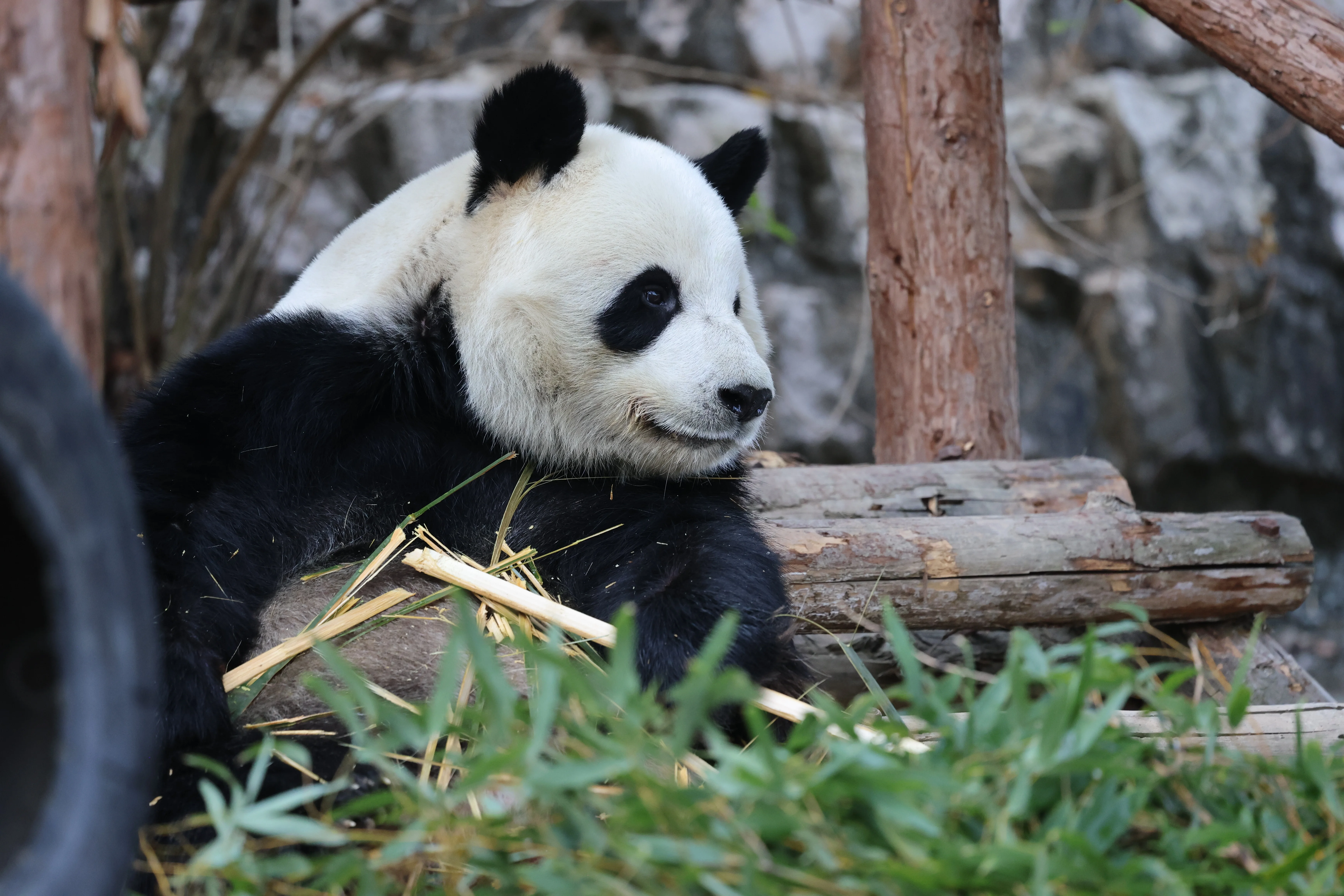 Quanzhou Haisi Safari Park