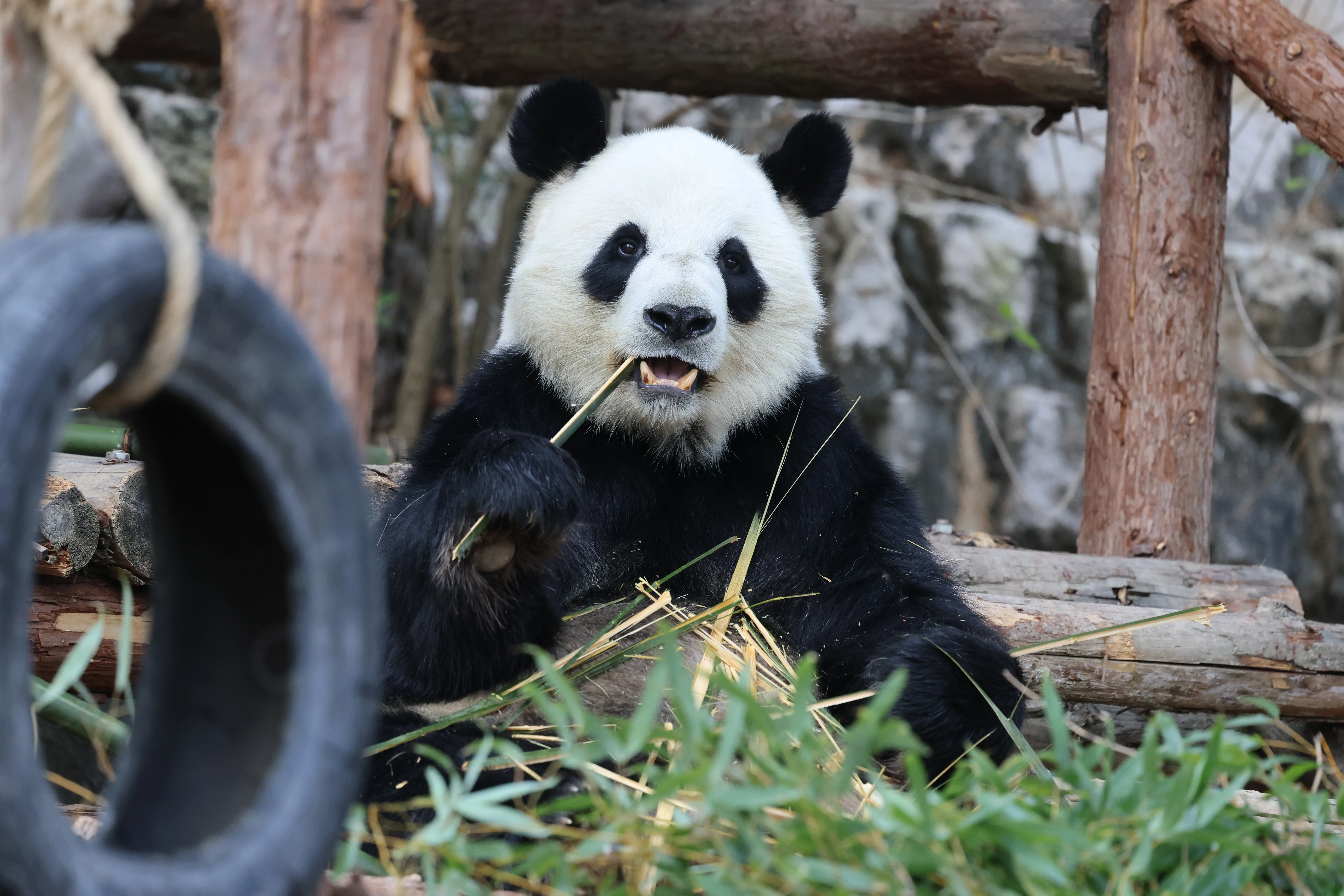 Quanzhou Haisi Safari Park