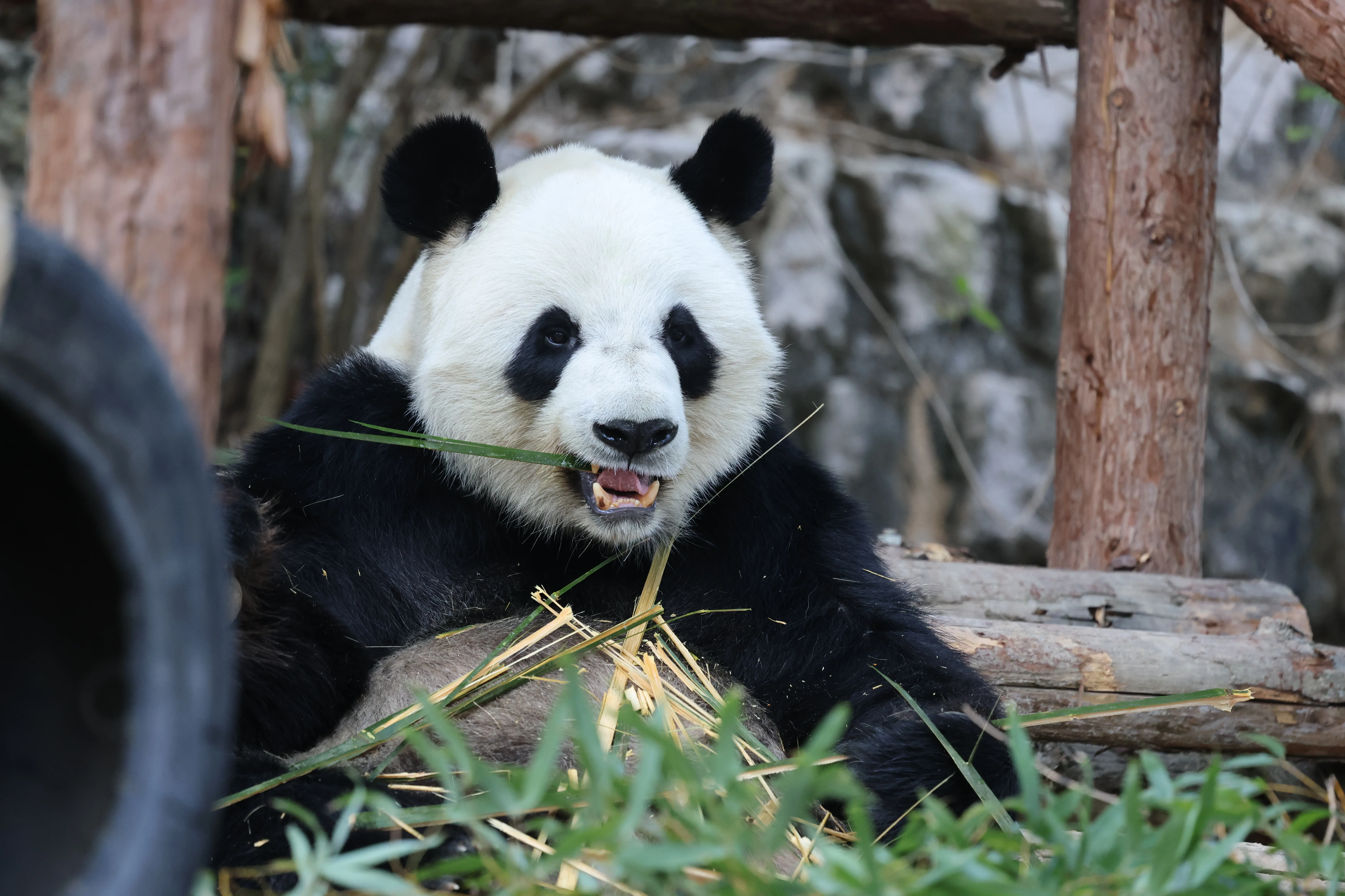 Quanzhou Haisi Safari Park