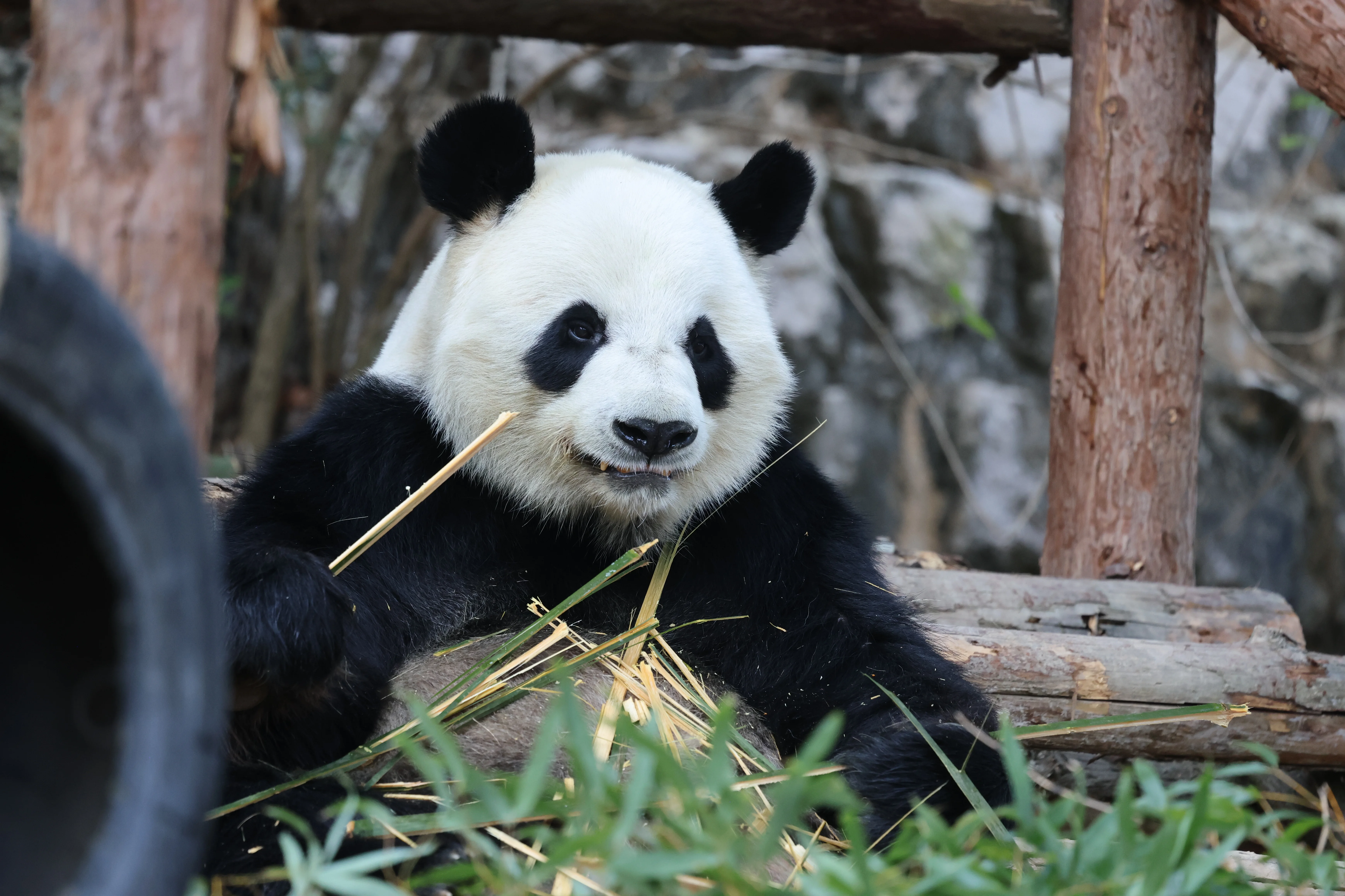 Quanzhou Haisi Safari Park