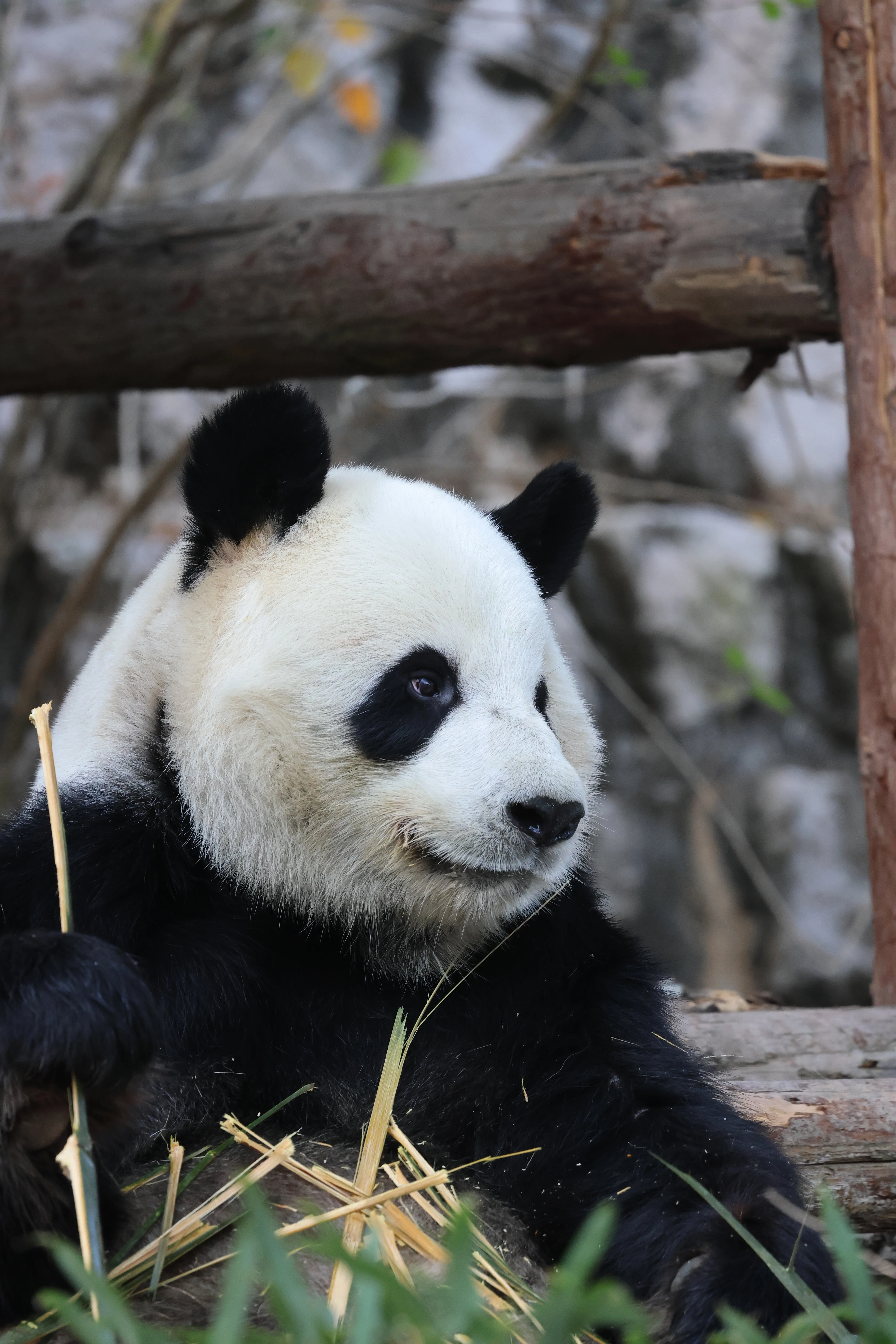 Quanzhou Haisi Safari Park