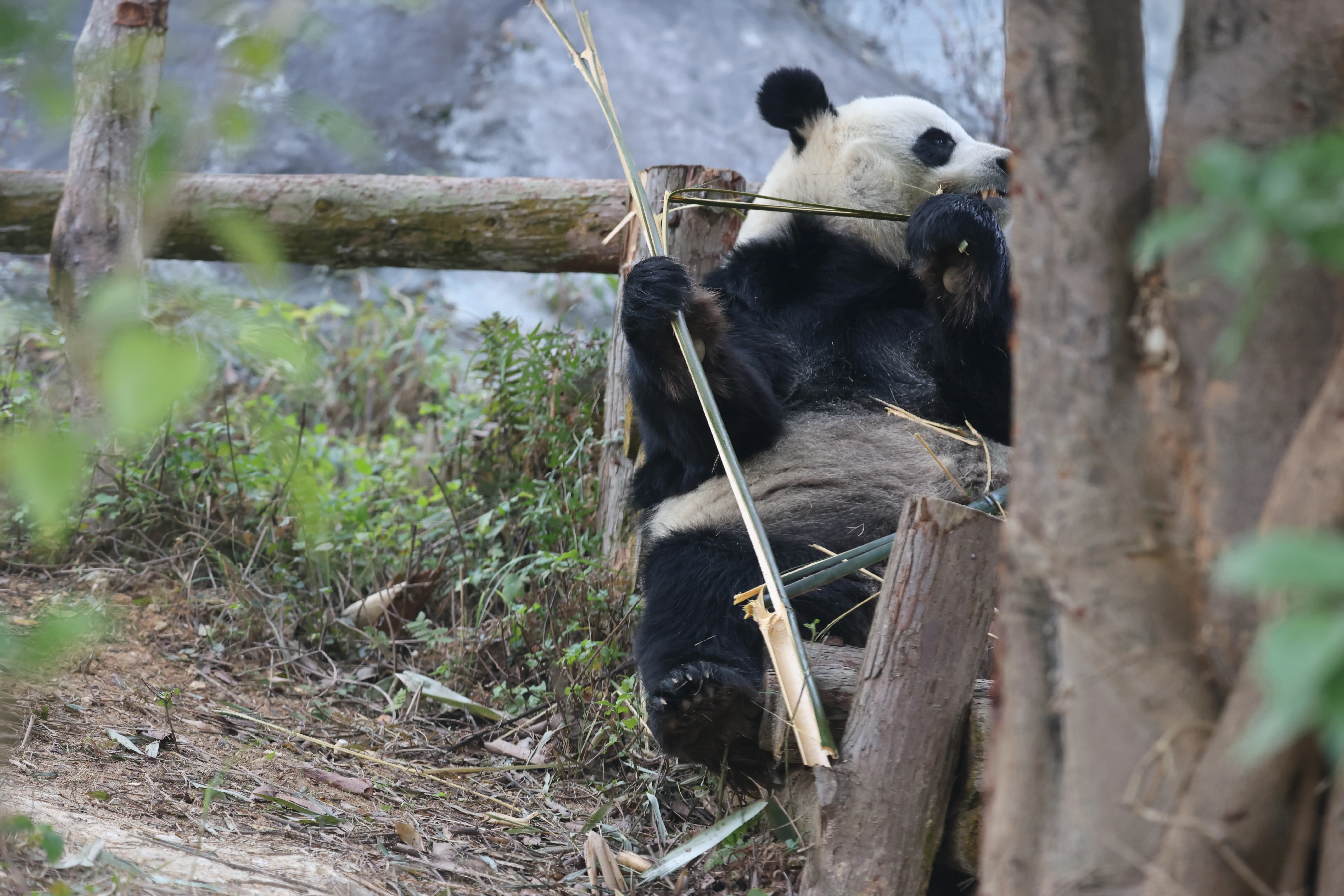 Quanzhou Haisi Safari Park