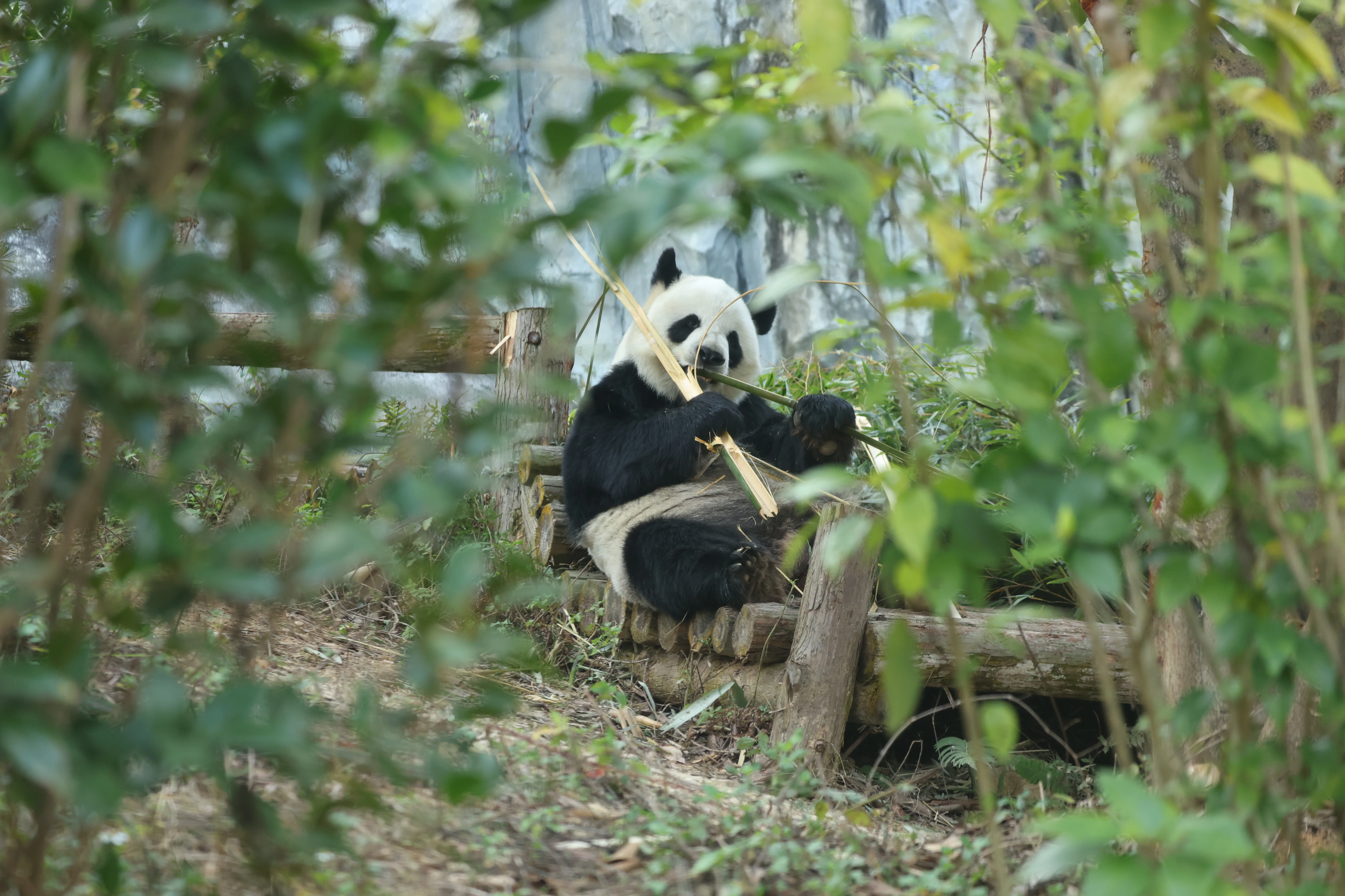 Quanzhou Haisi Safari Park