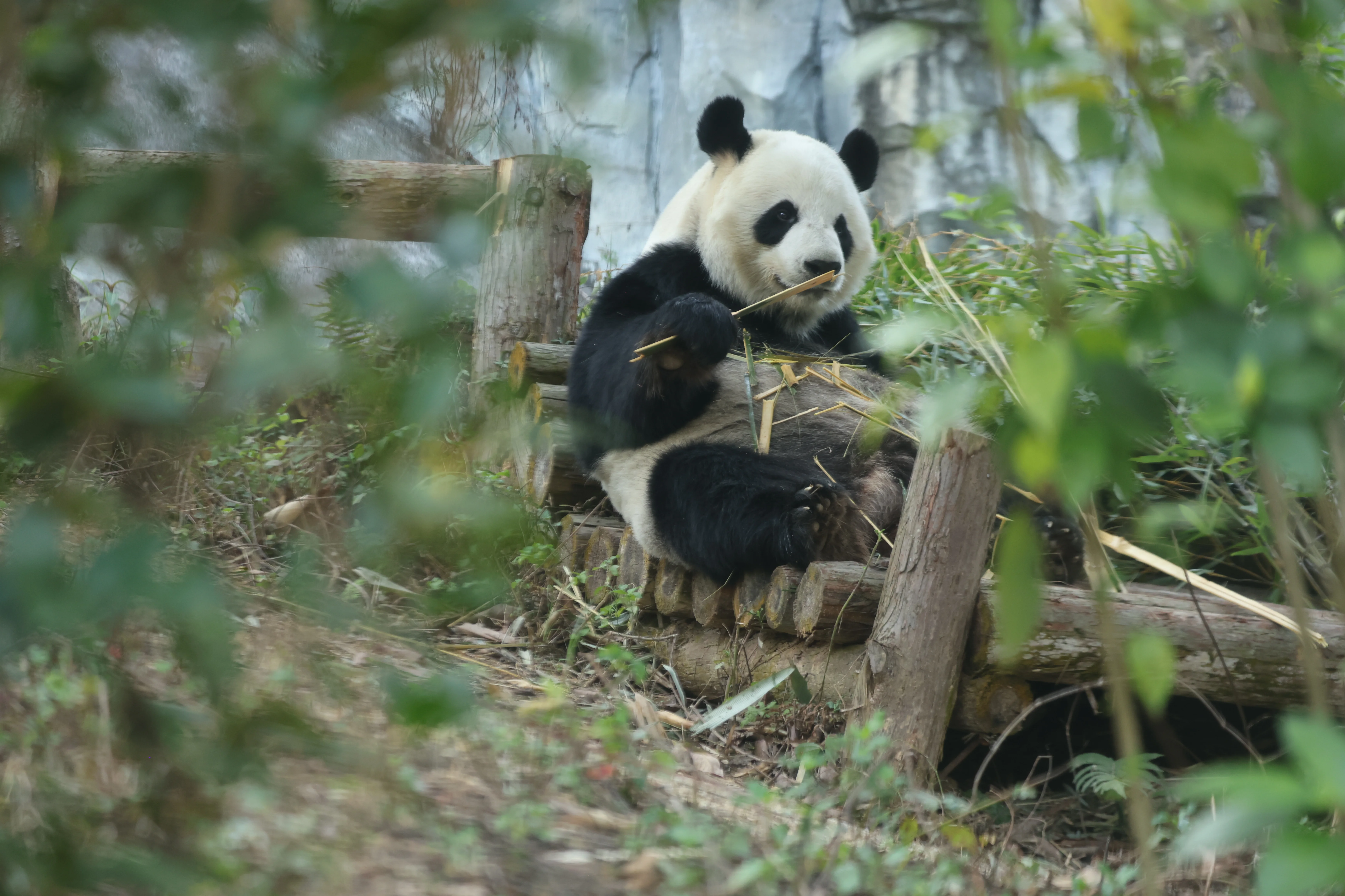 Quanzhou Haisi Safari Park
