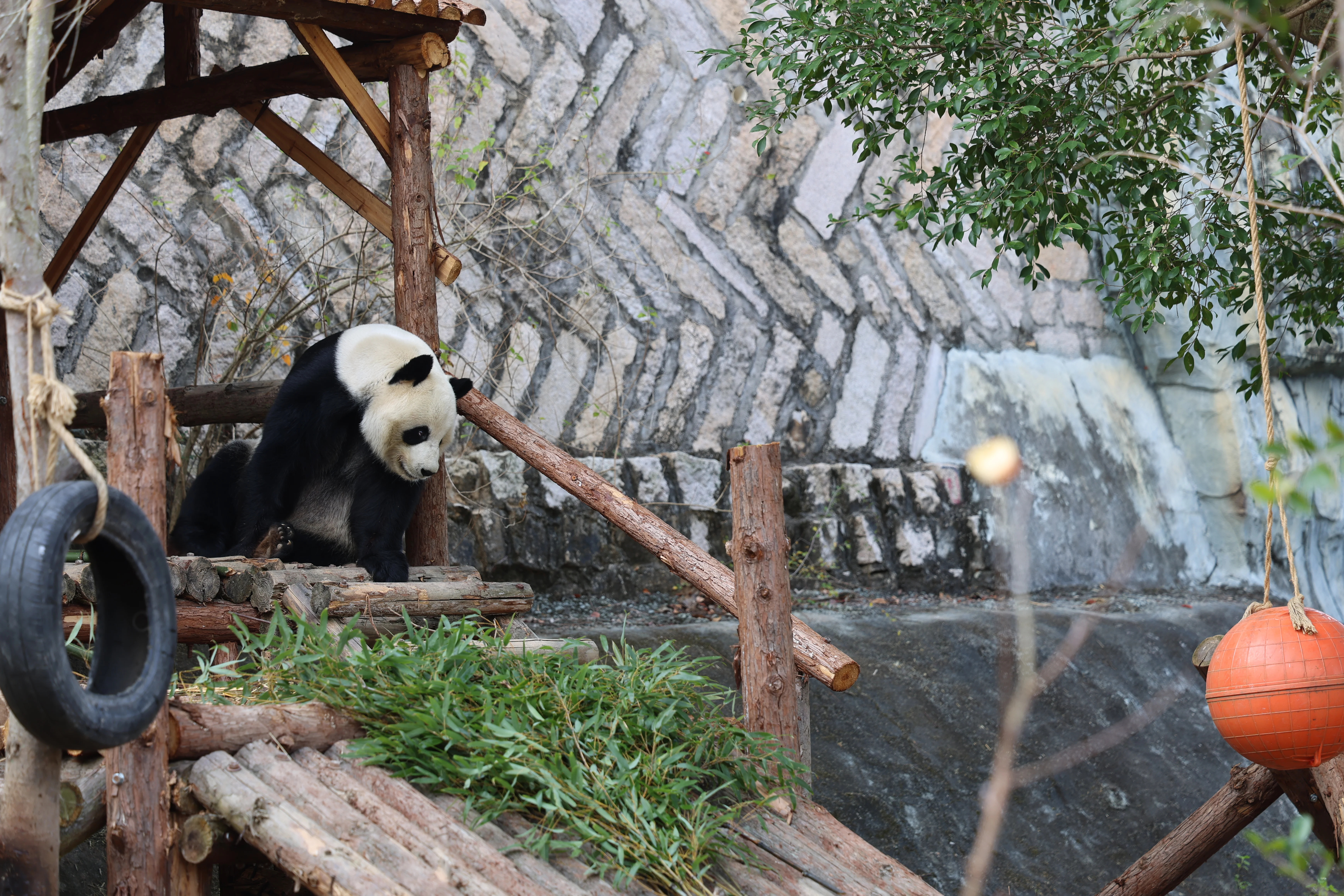 Quanzhou Haisi Safari Park