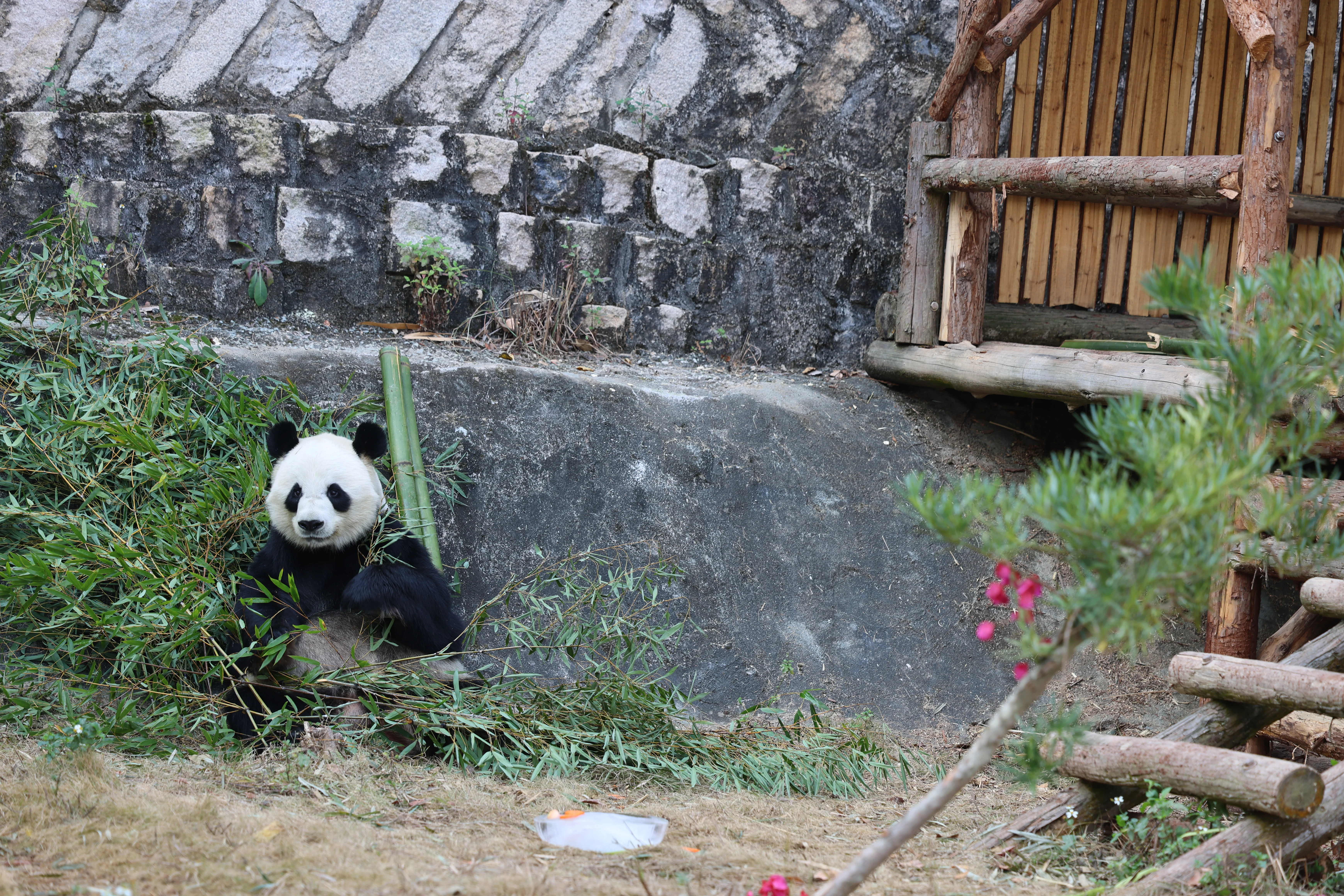 Quanzhou Haisi Safari Park