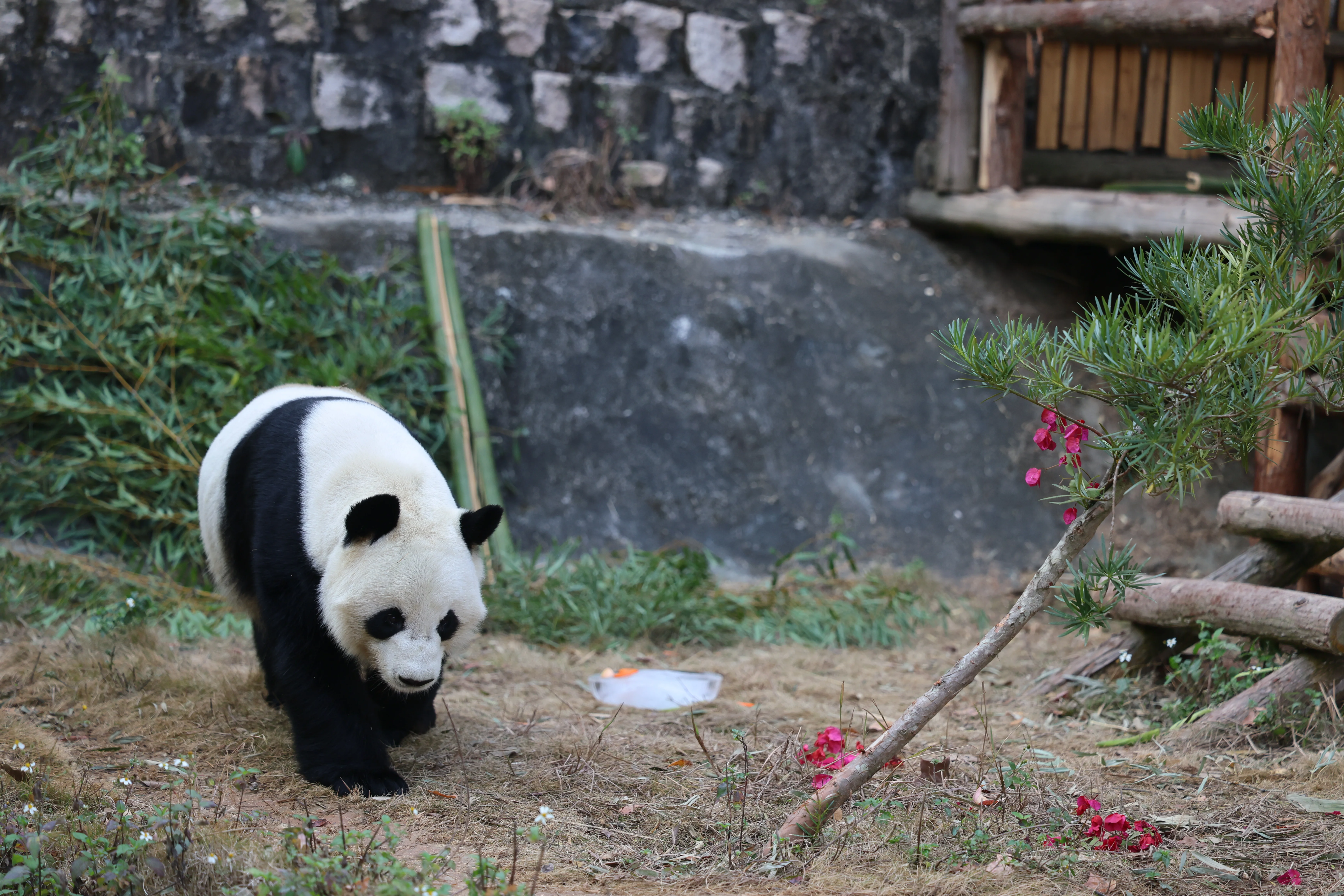 Quanzhou Haisi Safari Park