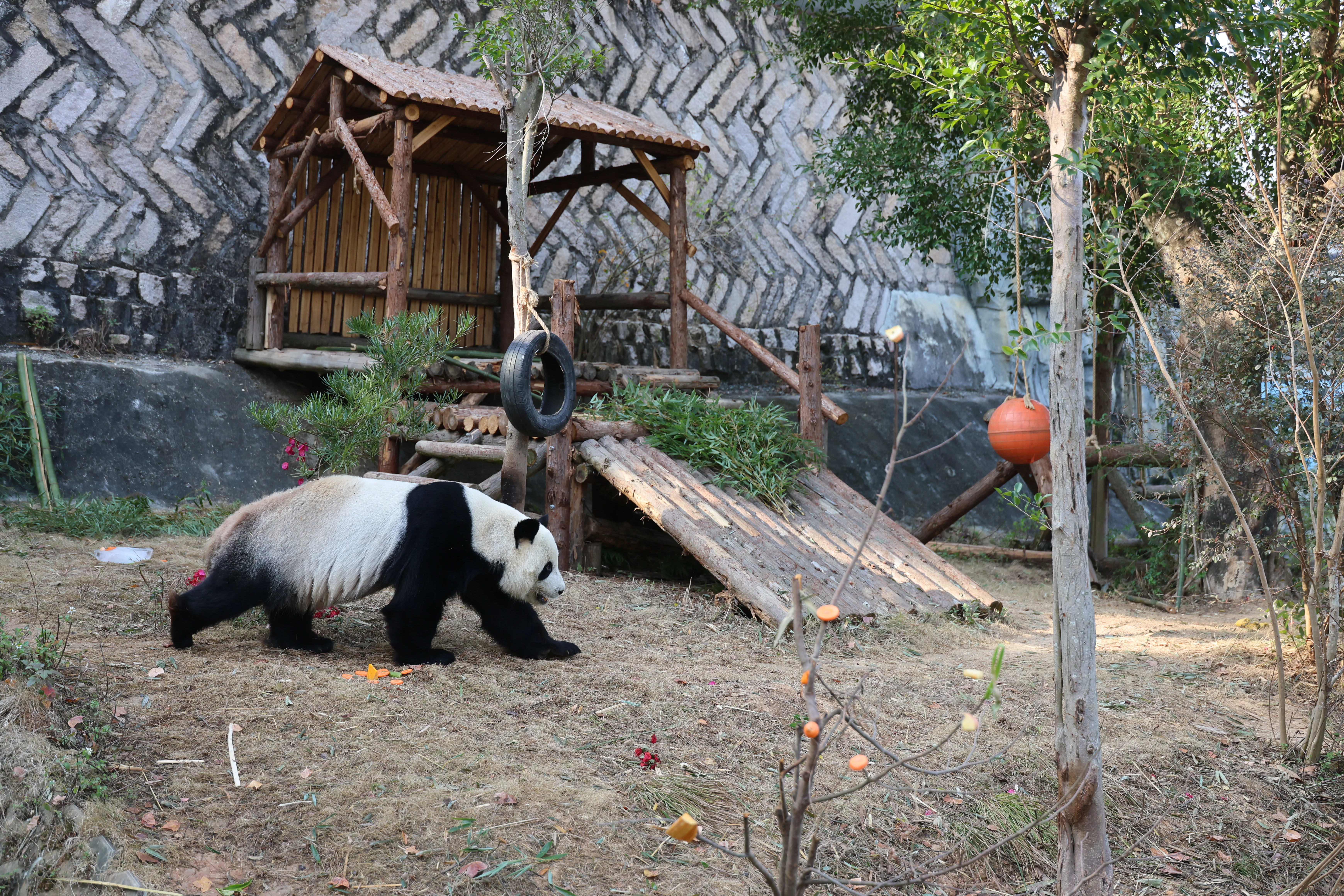 Quanzhou Haisi Safari Park