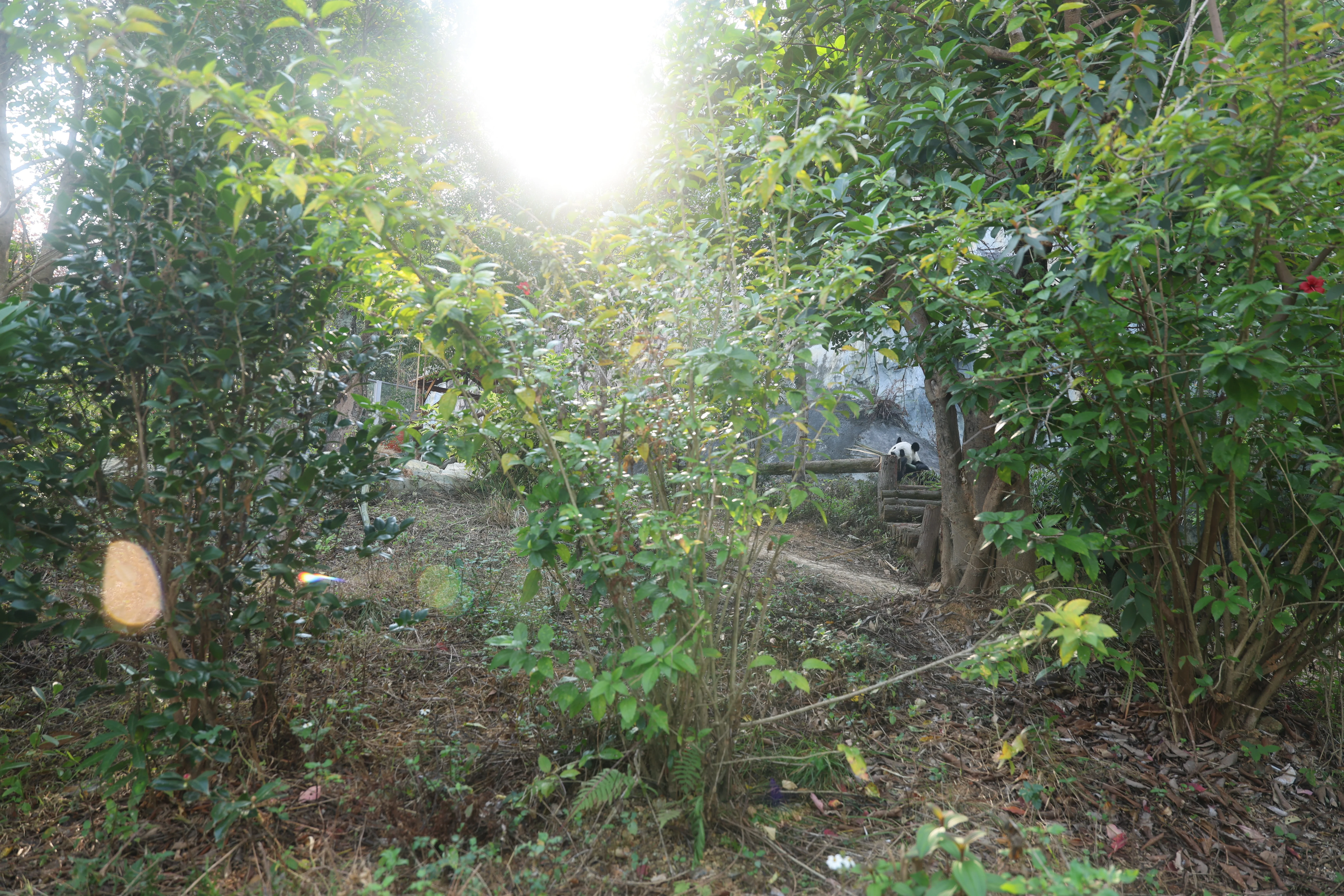 Quanzhou Haisi Safari Park