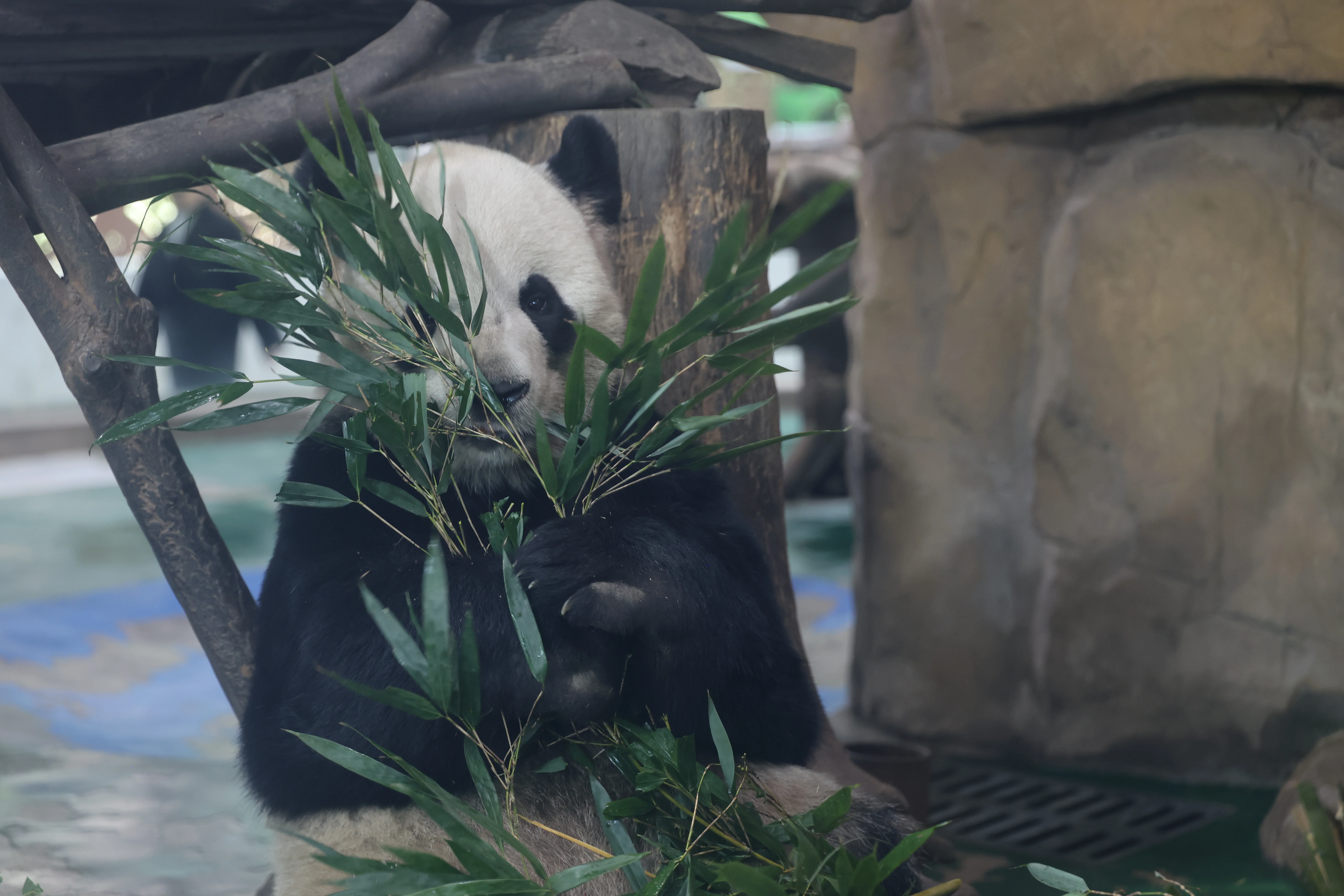 Chengdu Zoo