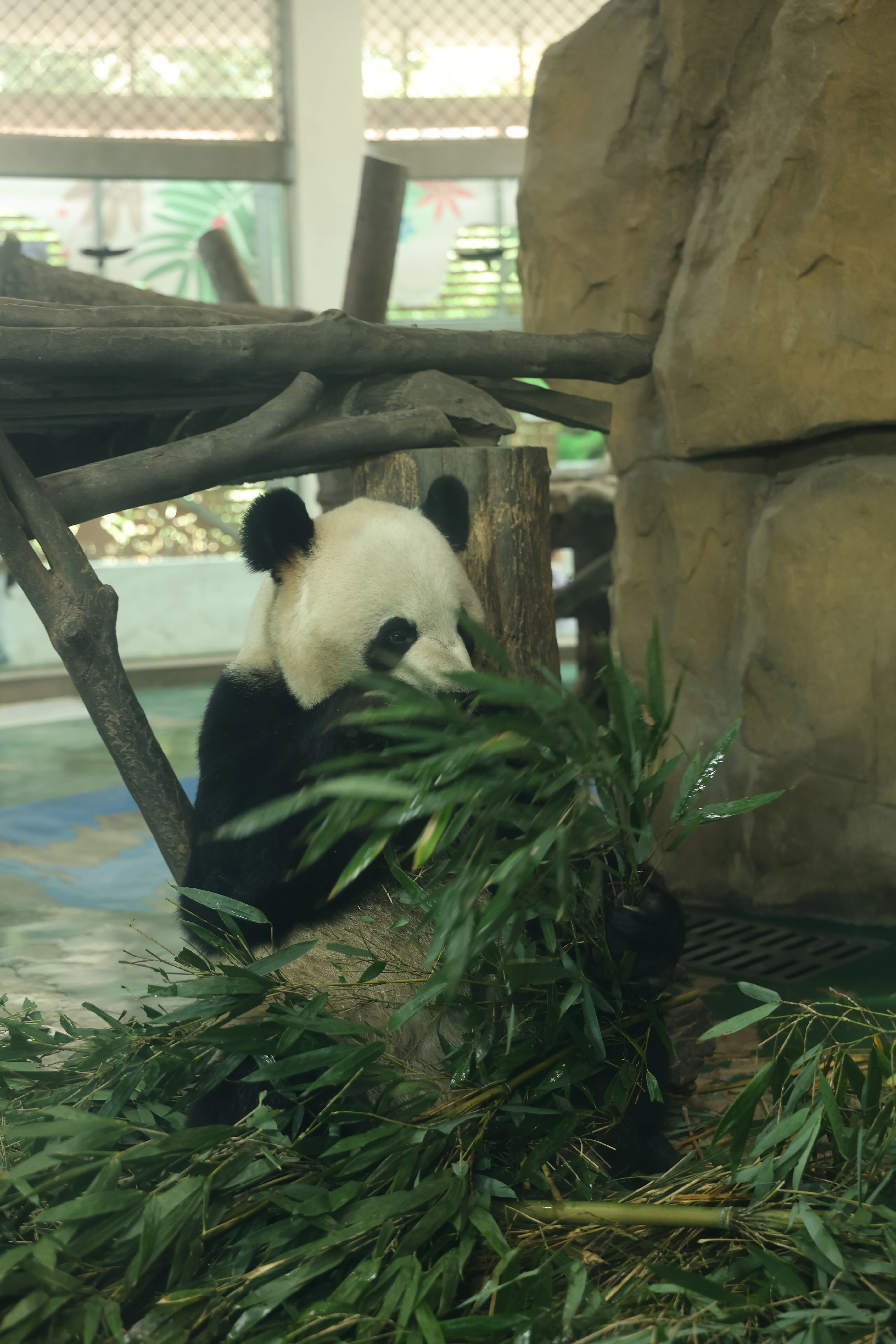 Chengdu Zoo