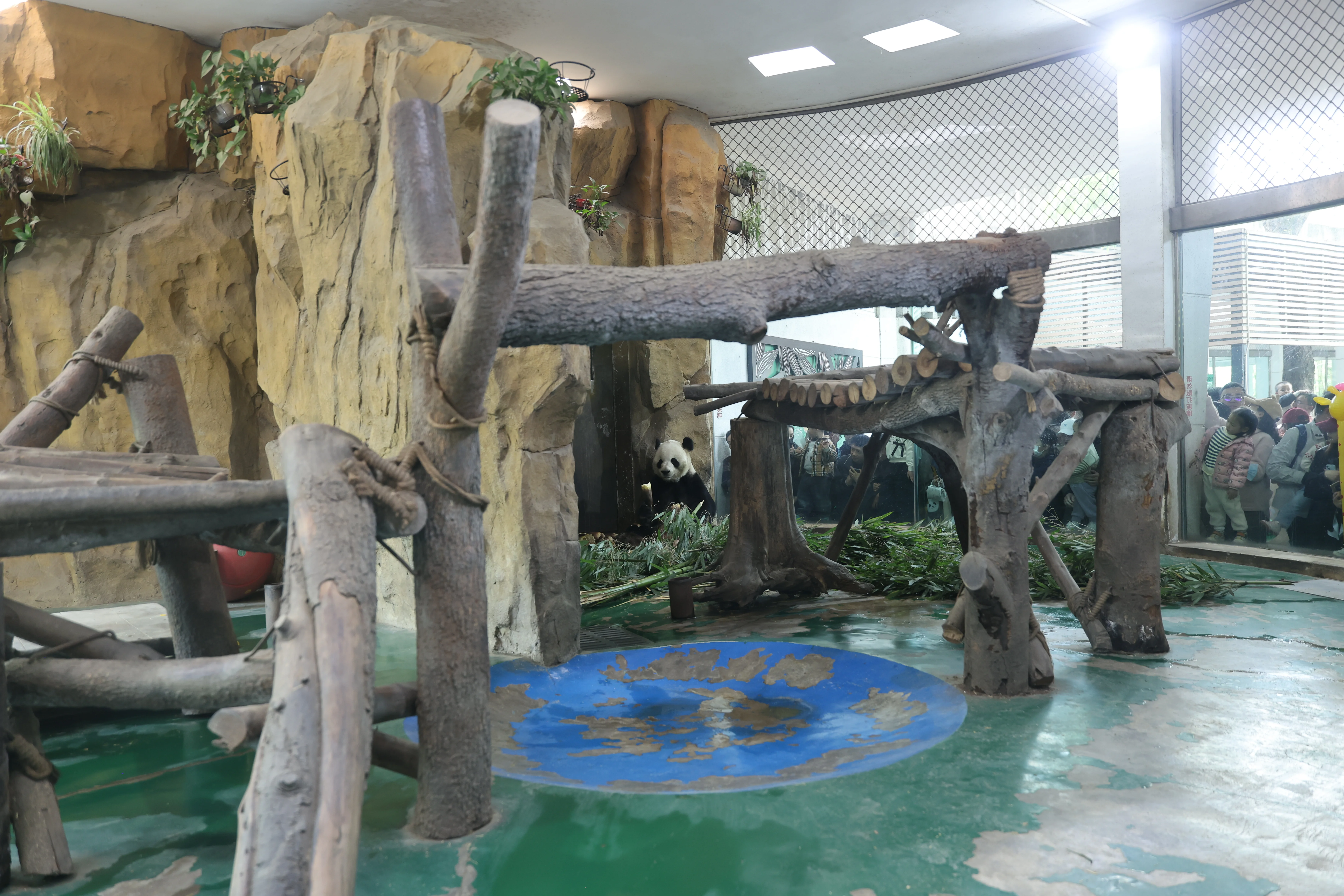 Chengdu Zoo
