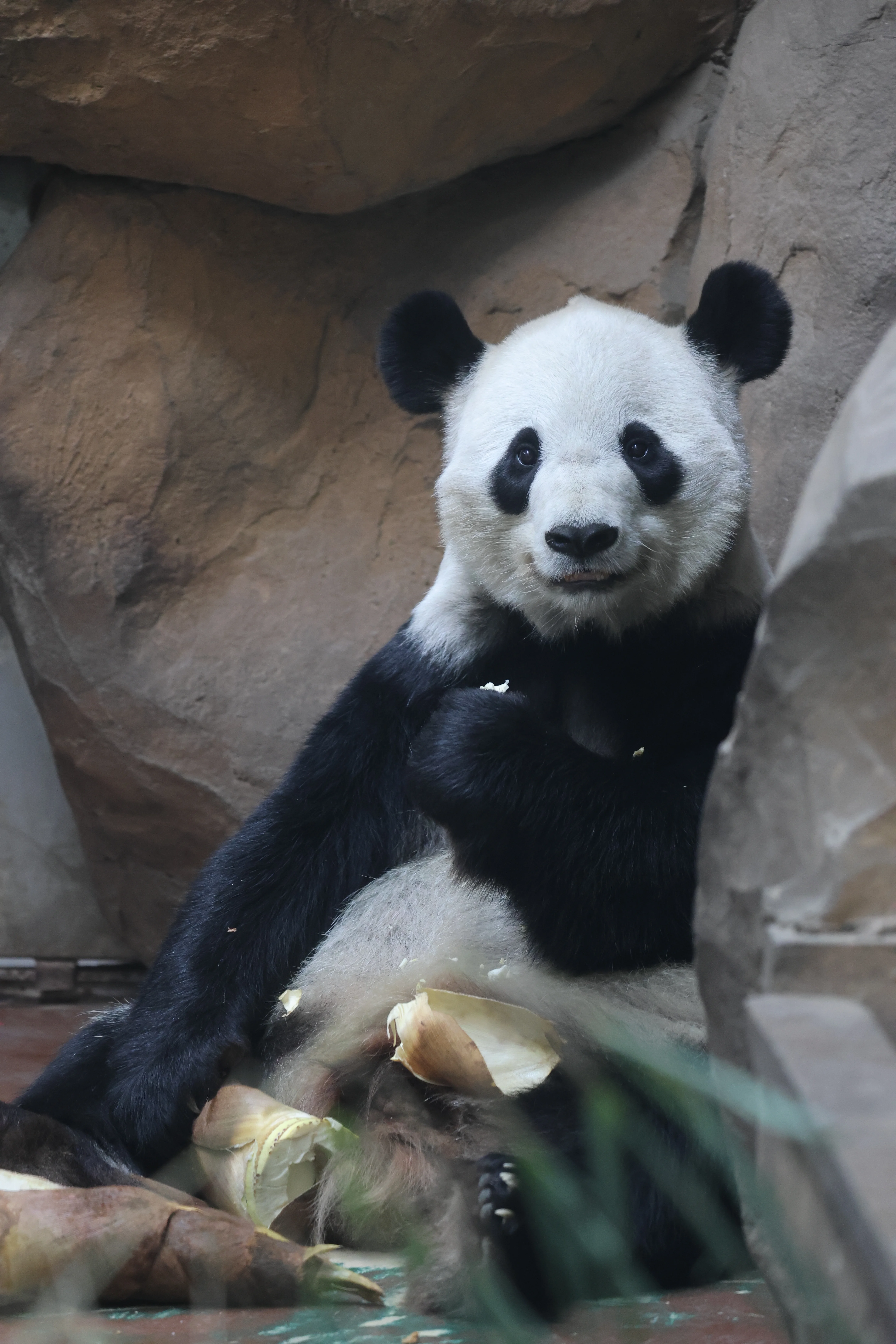 Chengdu Zoo