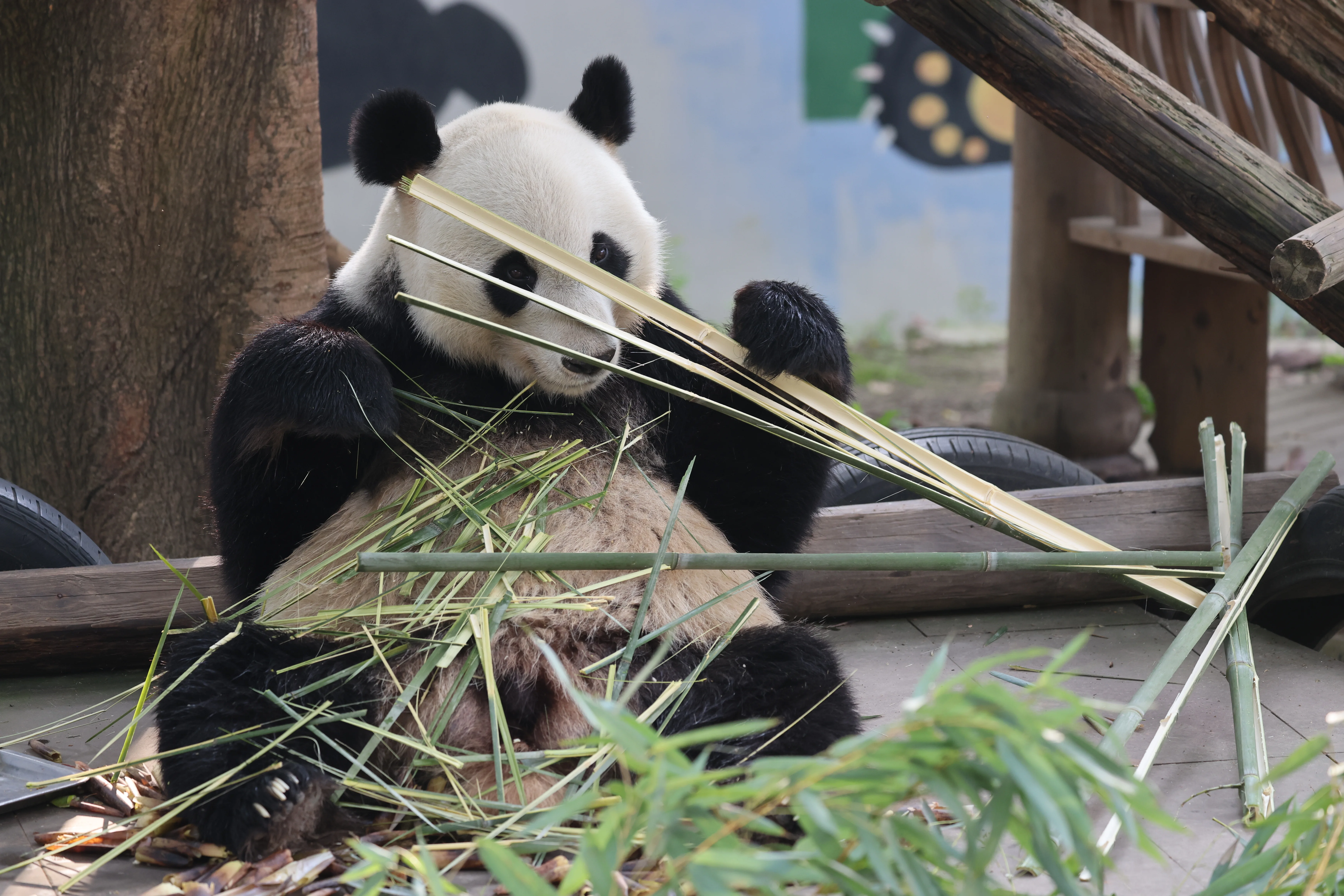 China Bamboo Art City