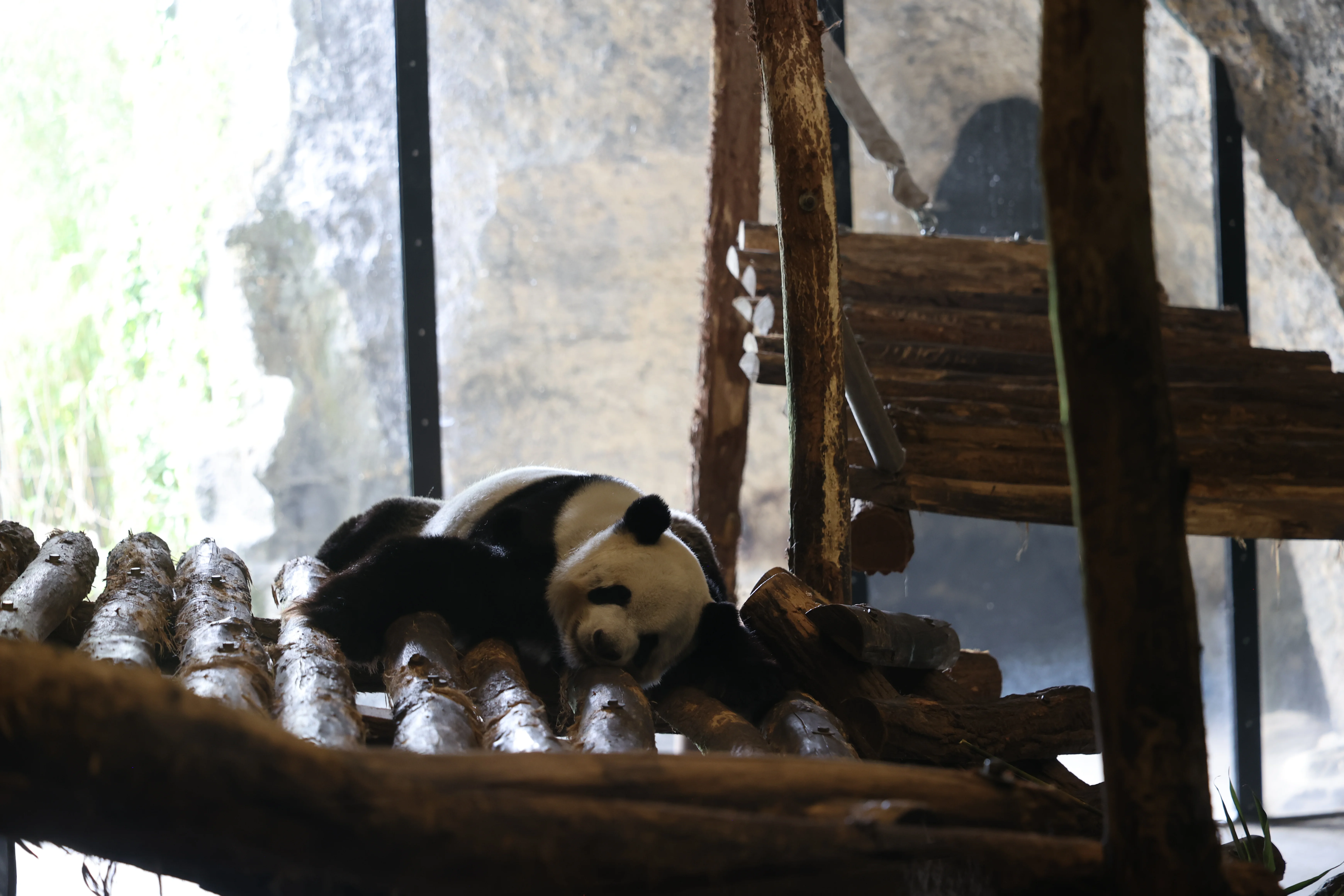 Pairi Daiza