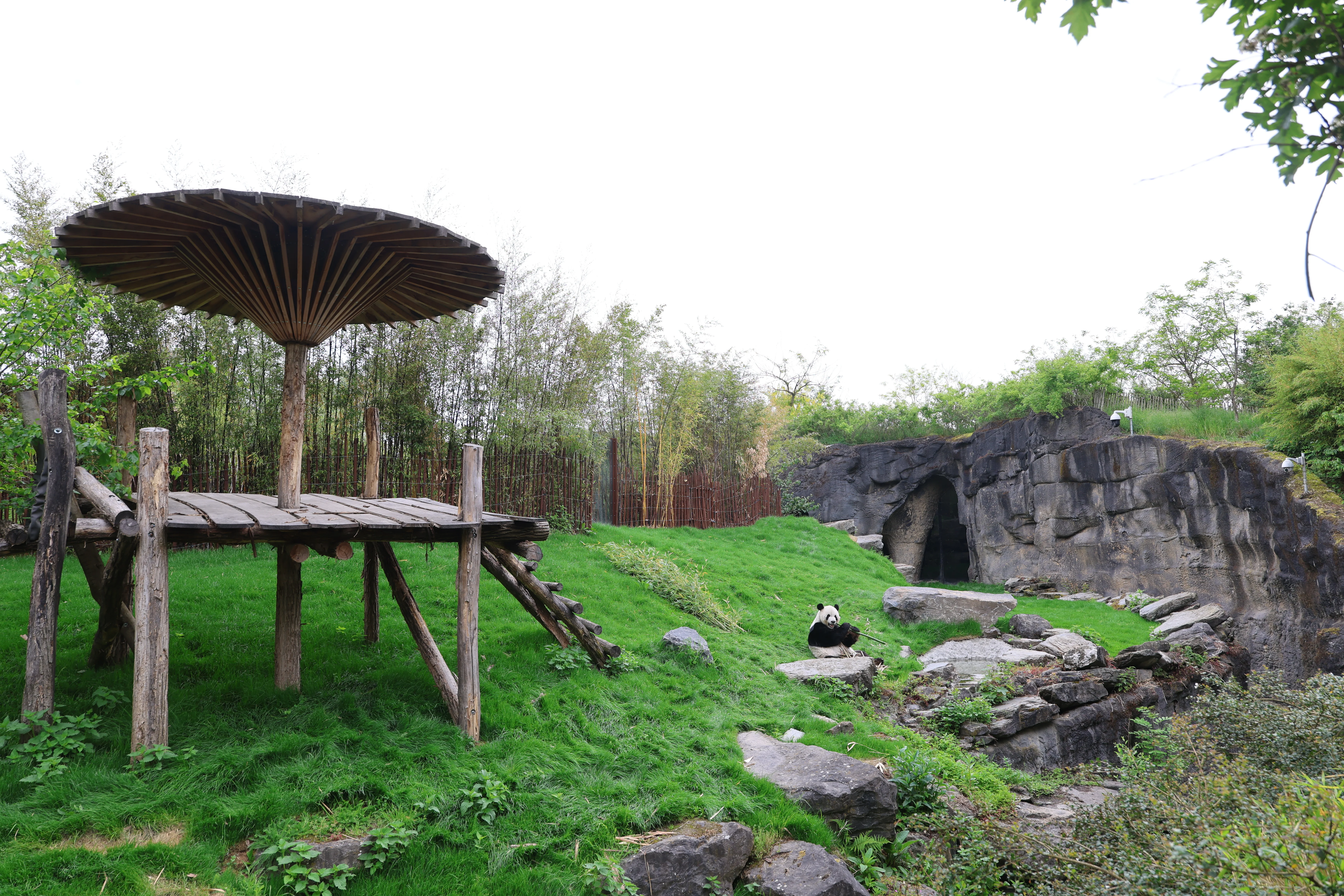 Pairi Daiza