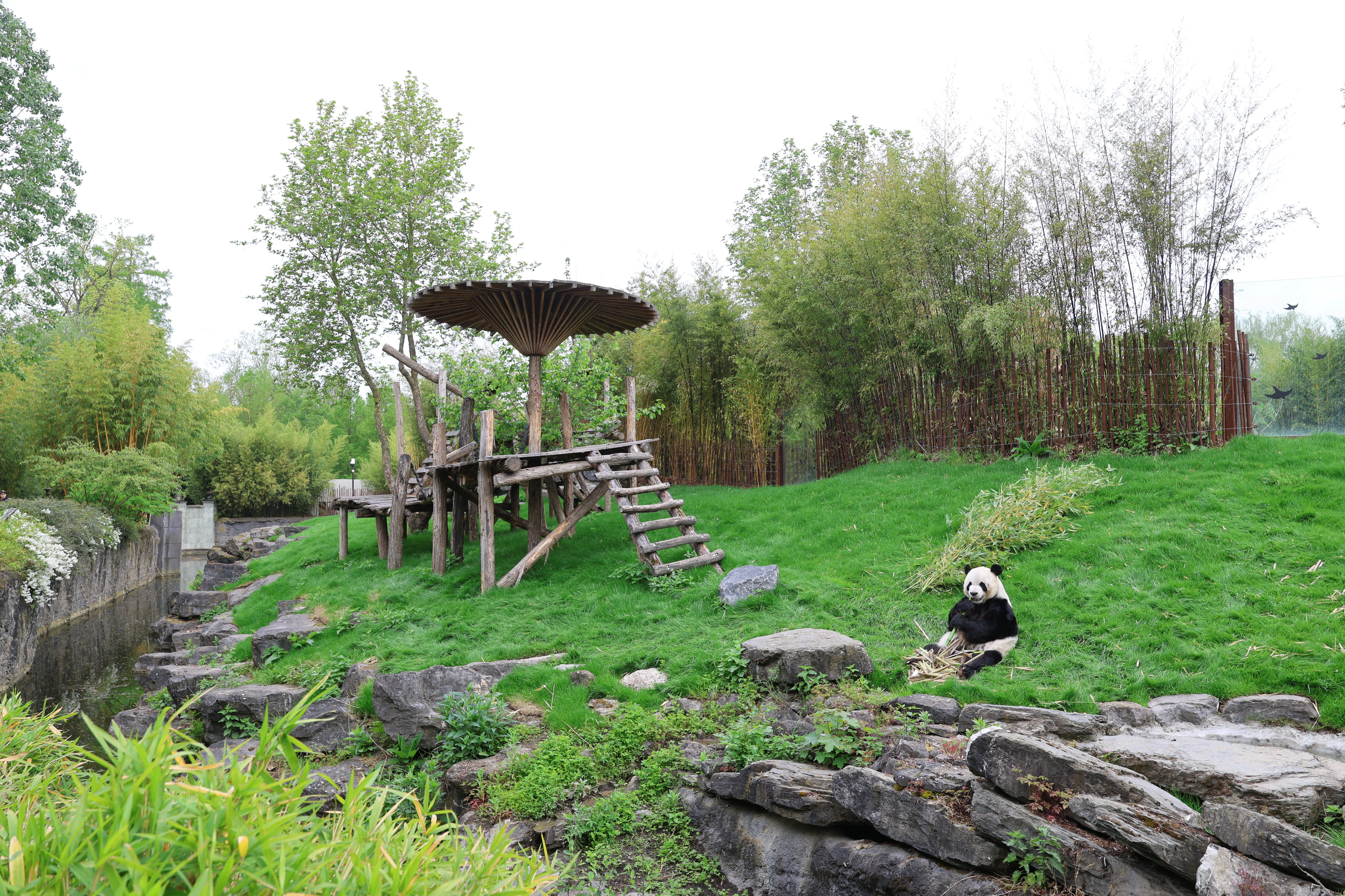 Pairi Daiza