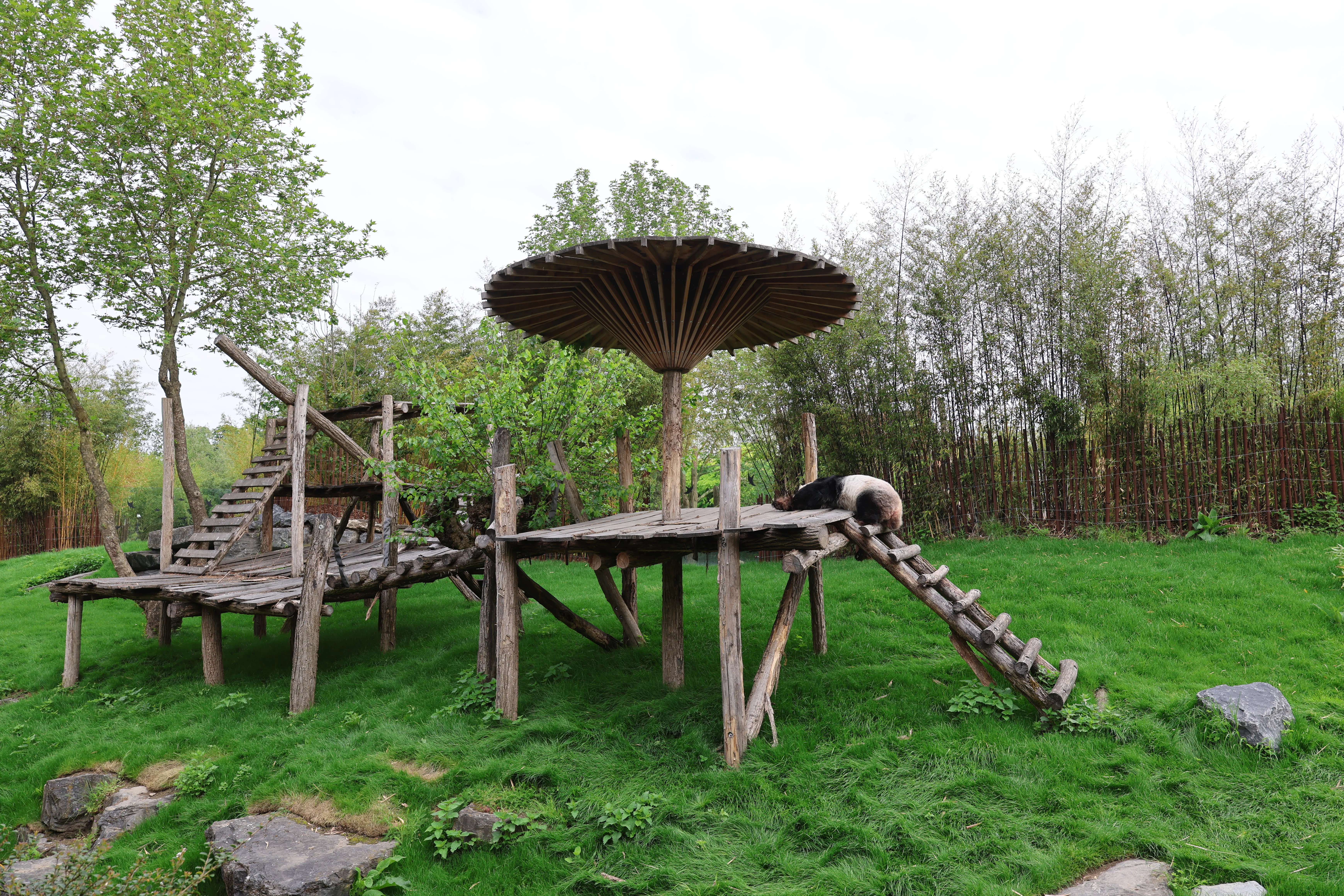 Pairi Daiza