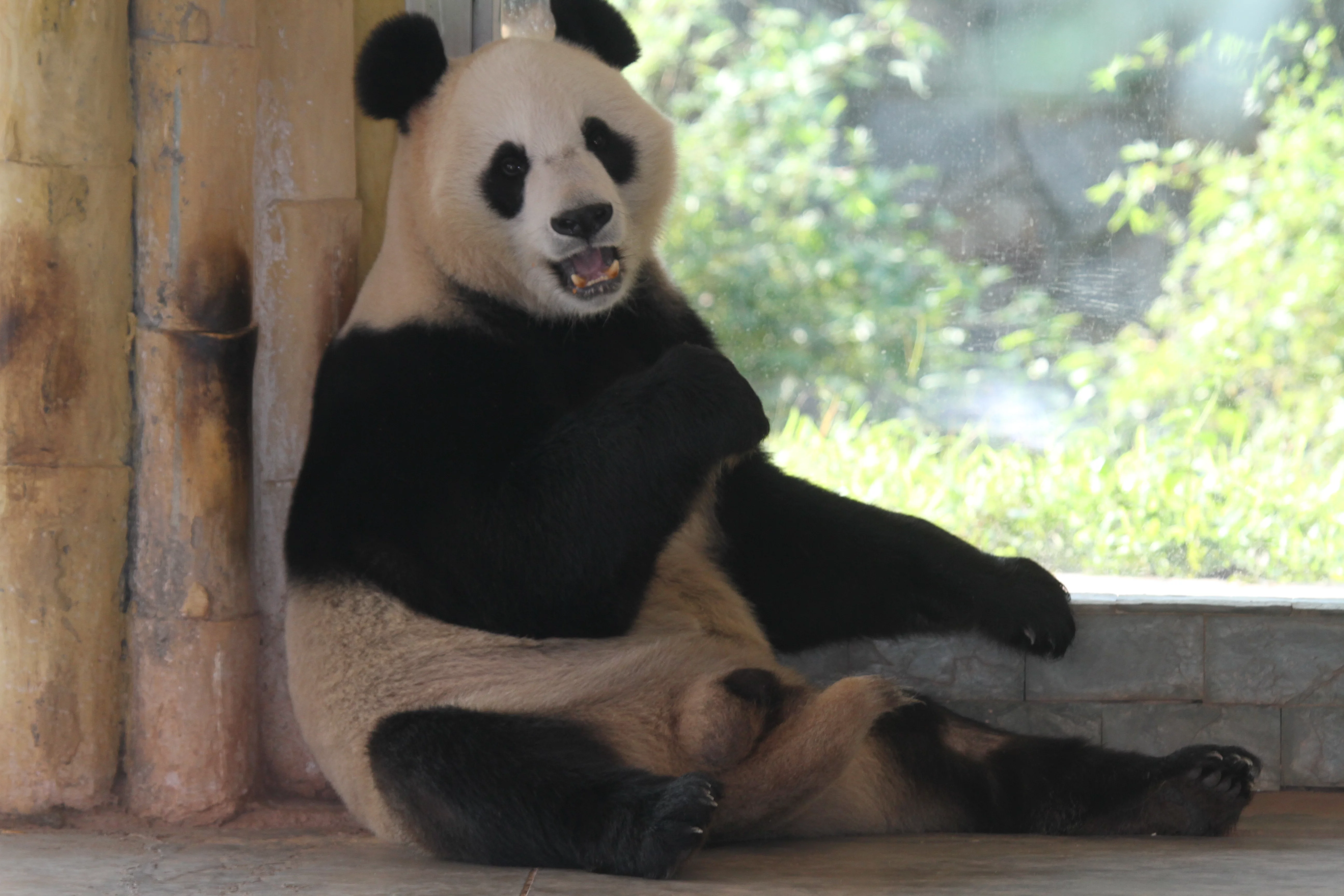 Guangzhou Zoo