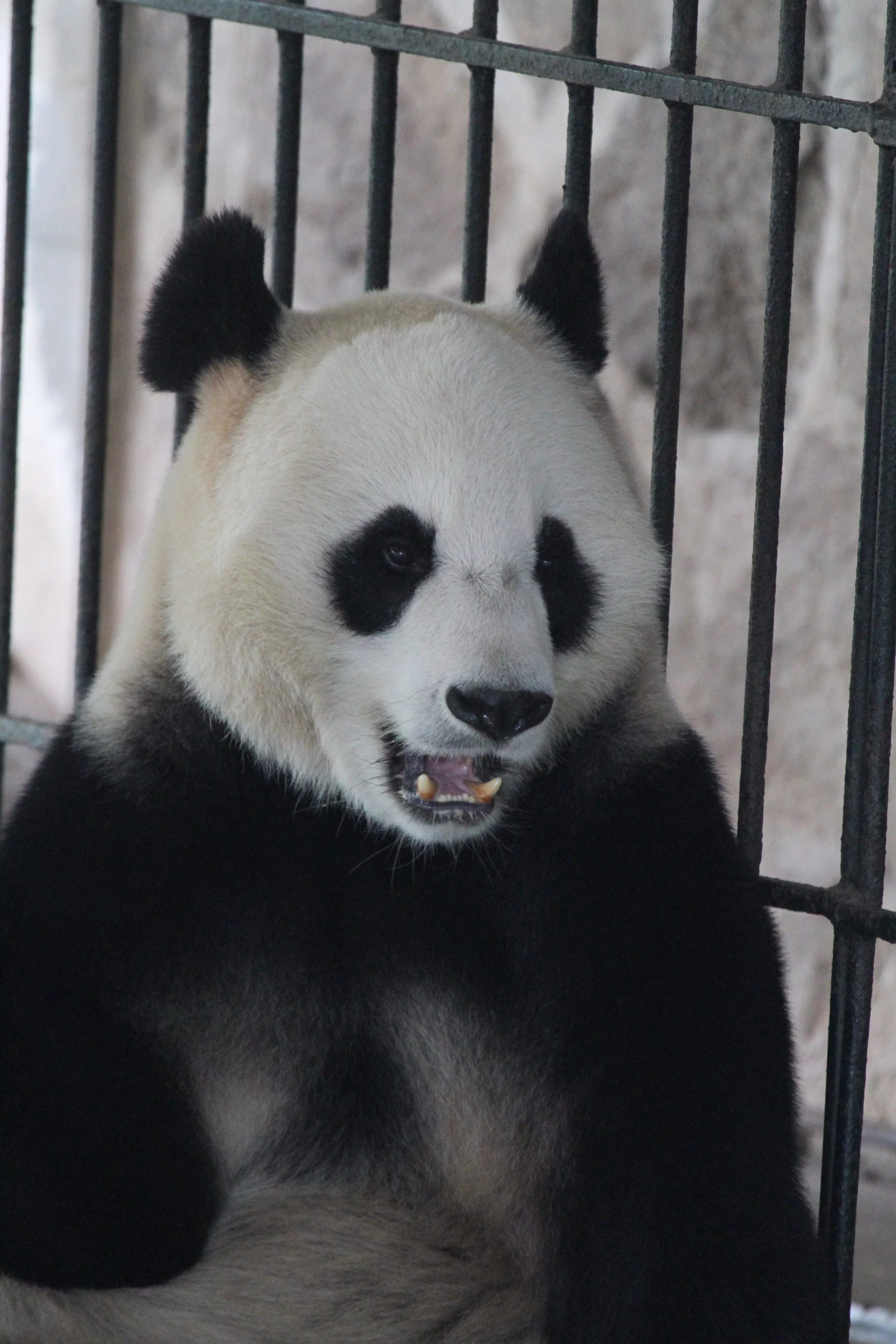 Guangzhou Zoo