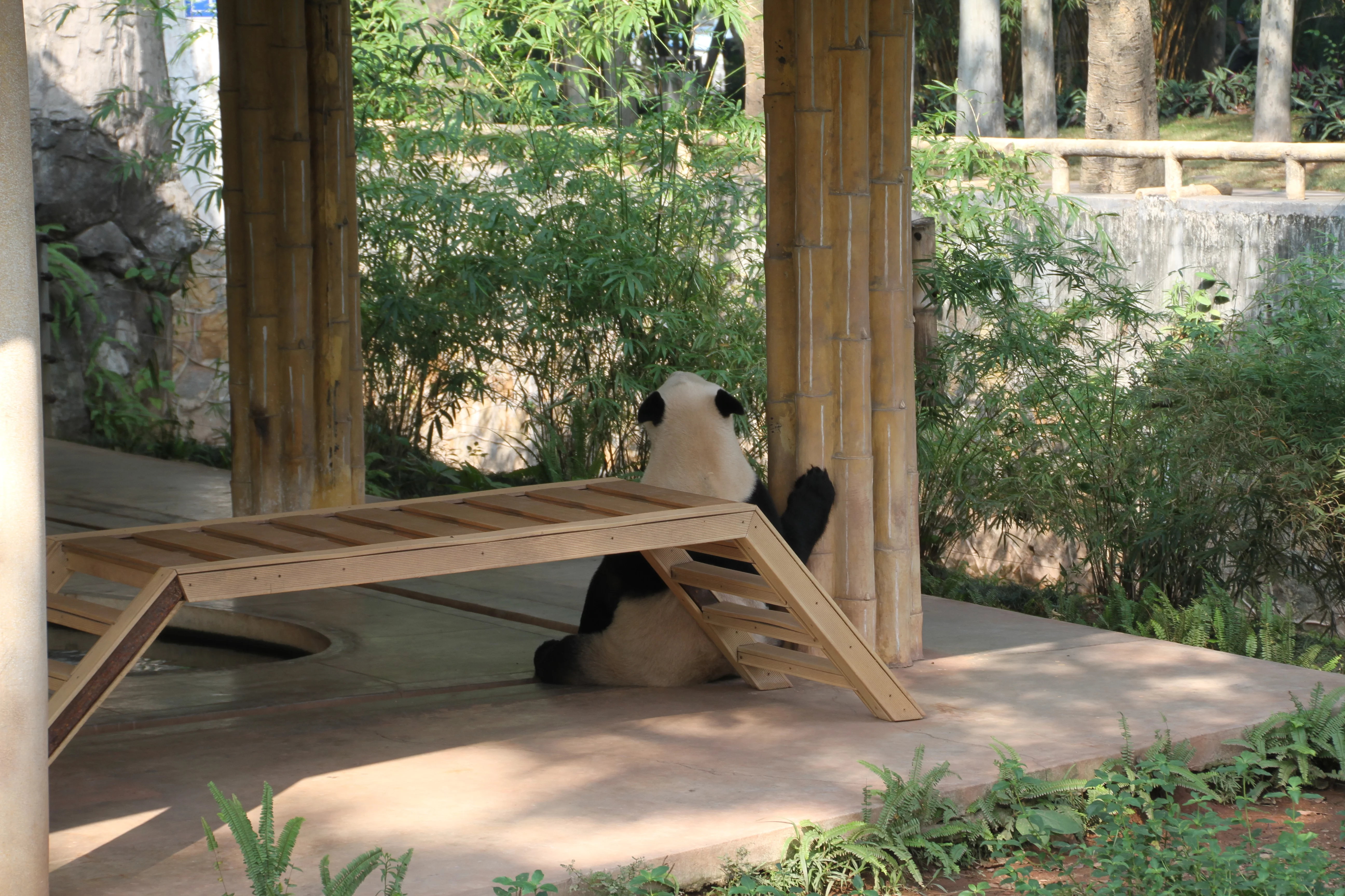 Guangzhou Zoo