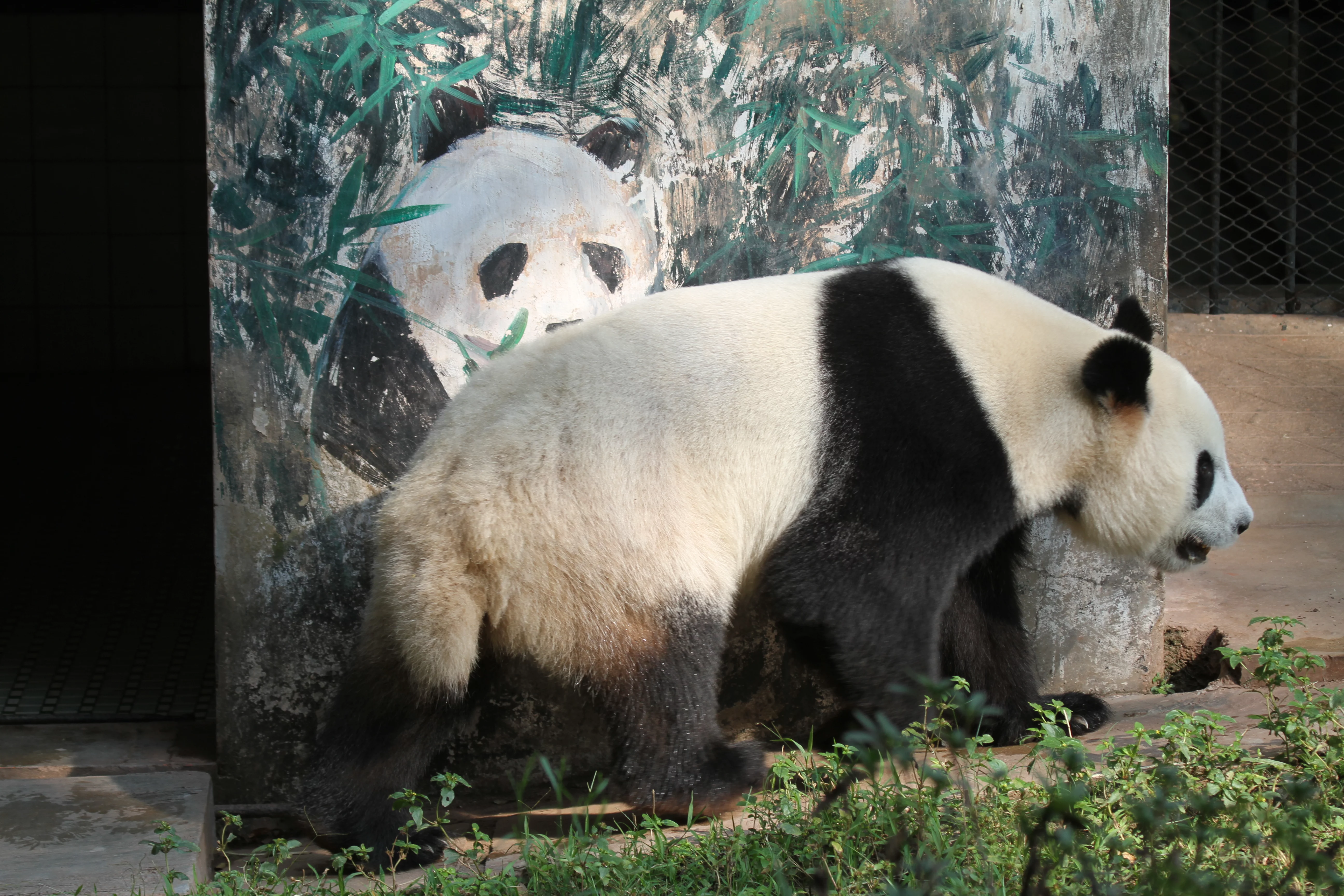 Guangzhou Zoo