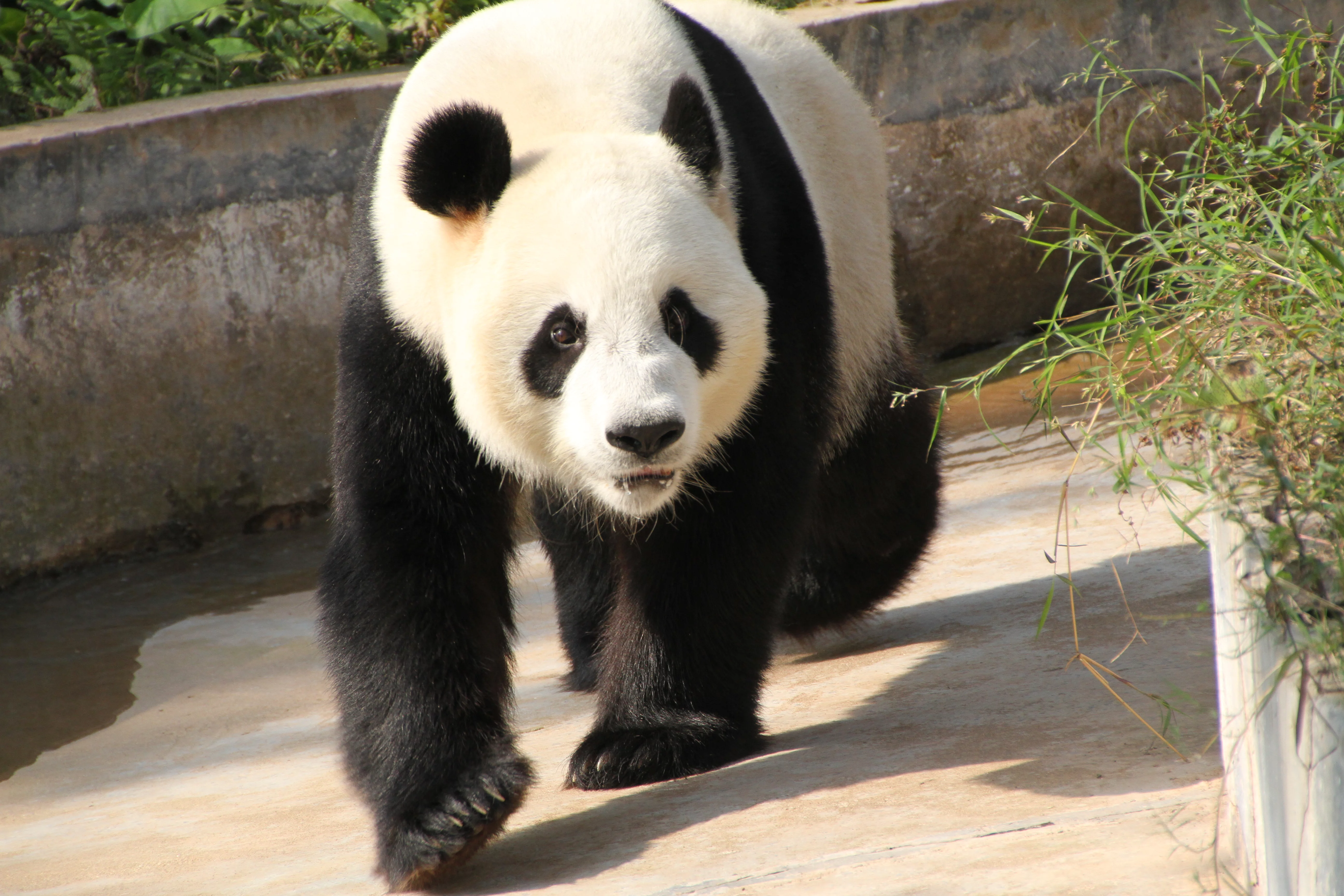 Guangzhou Zoo