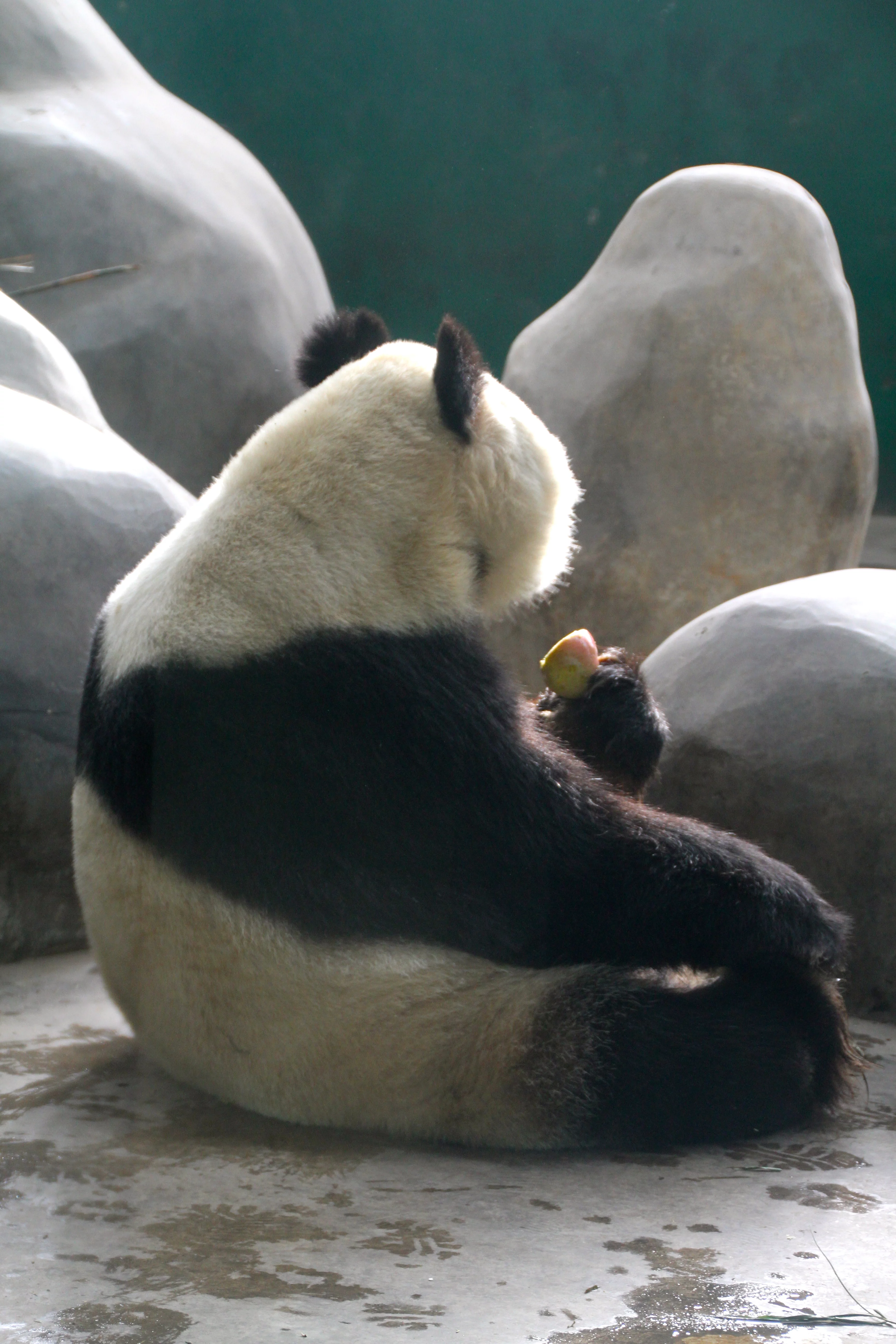 Chengdu Zoo