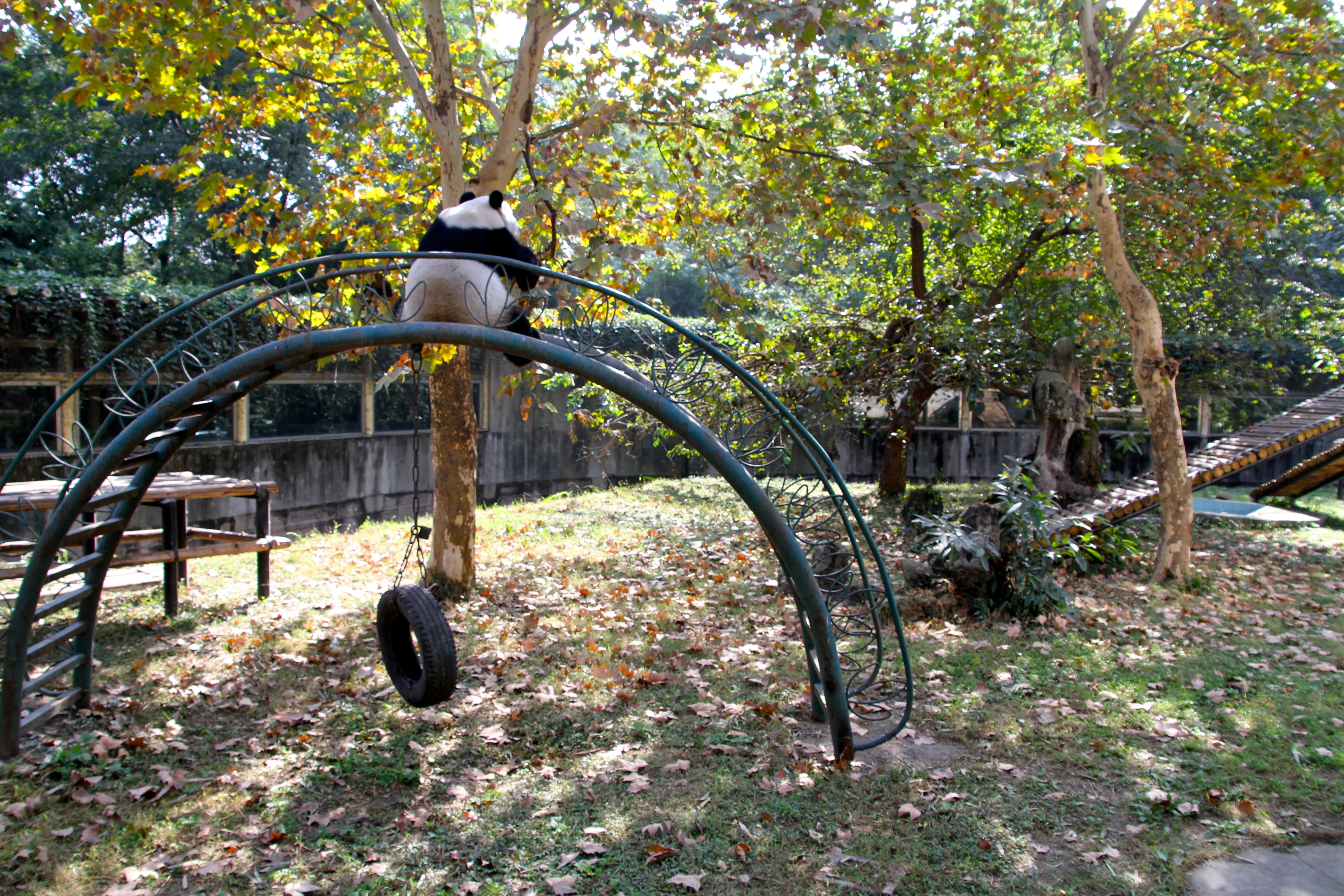Chengdu Zoo