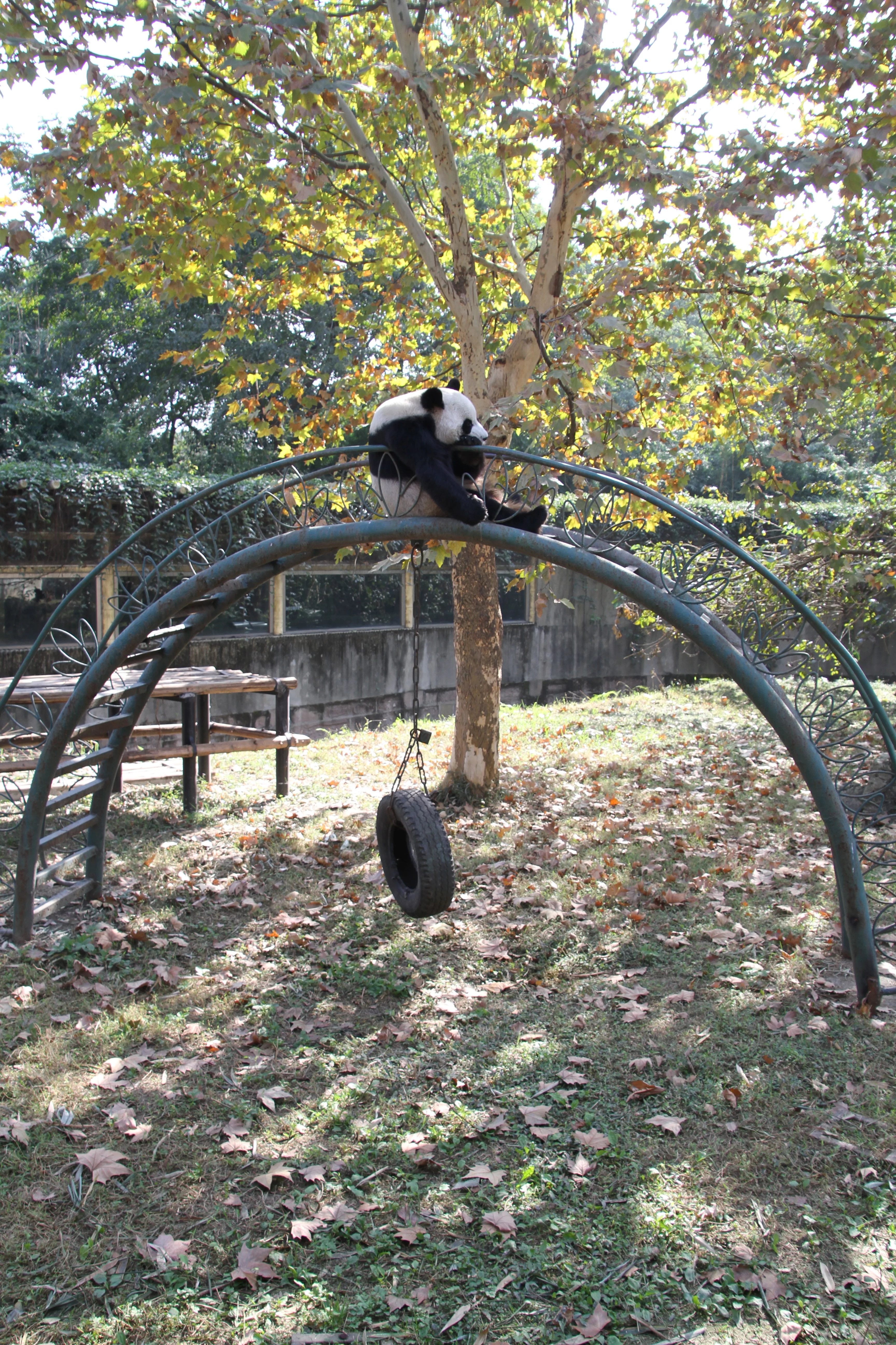 Chengdu Zoo