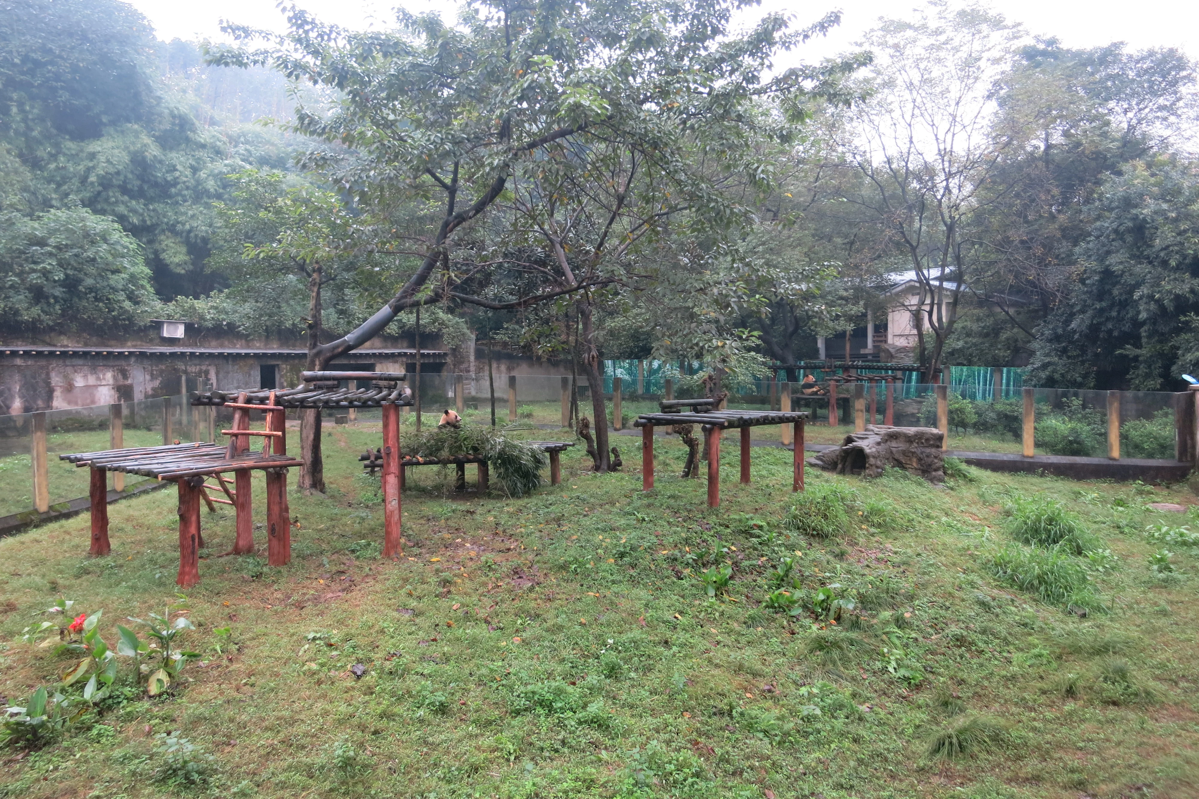 Chongqing Zoo