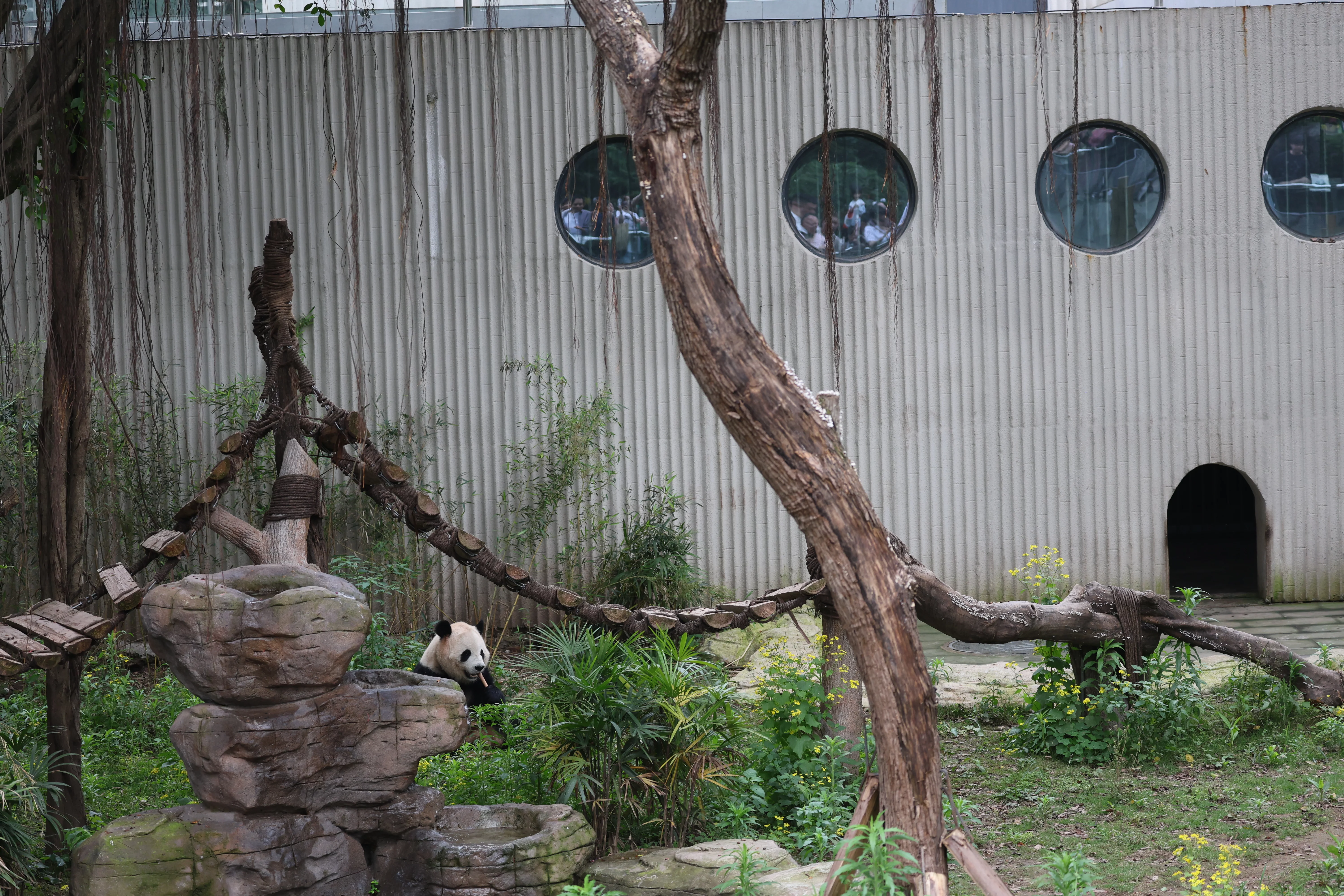 Chongqing Zoo