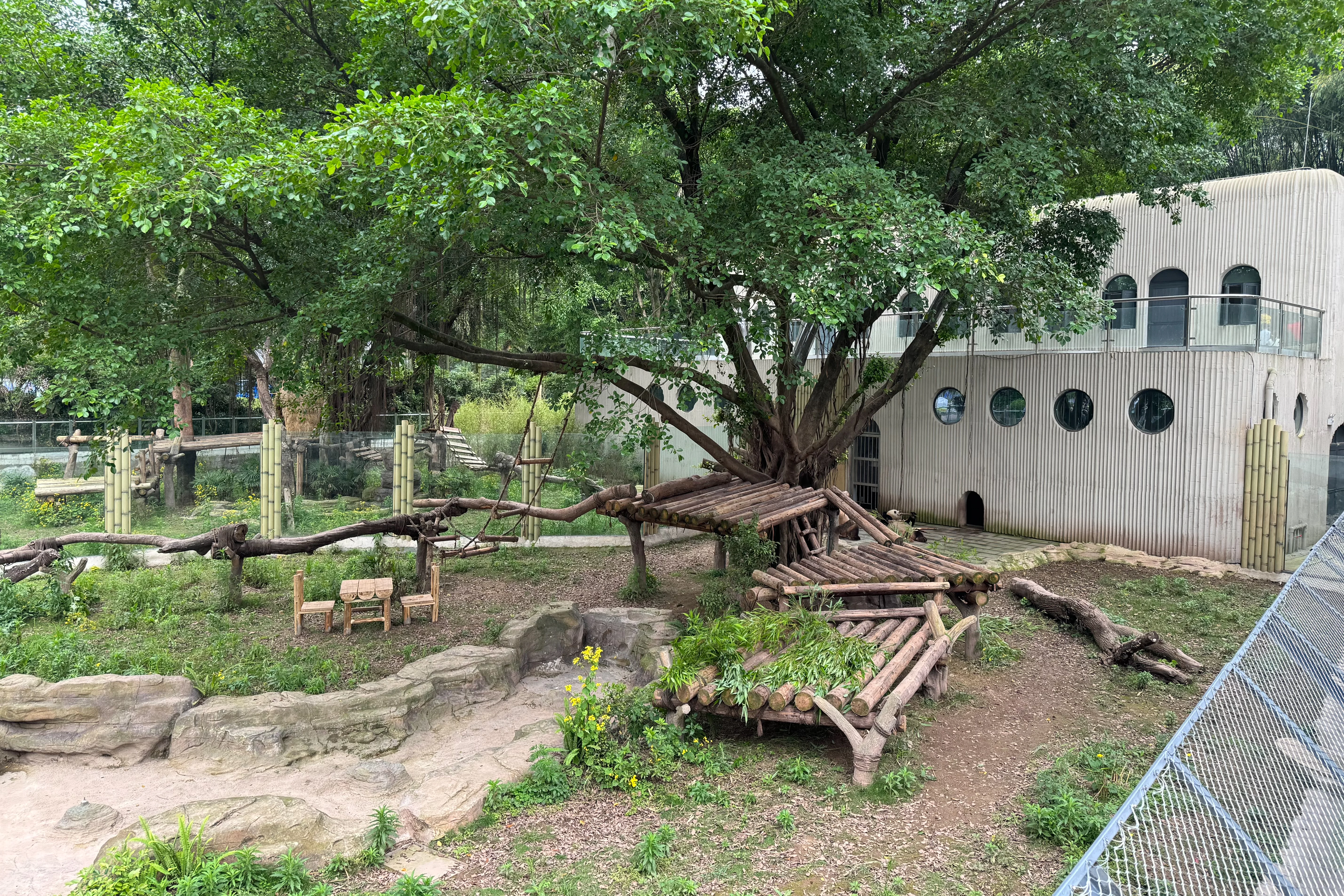 Chongqing Zoo