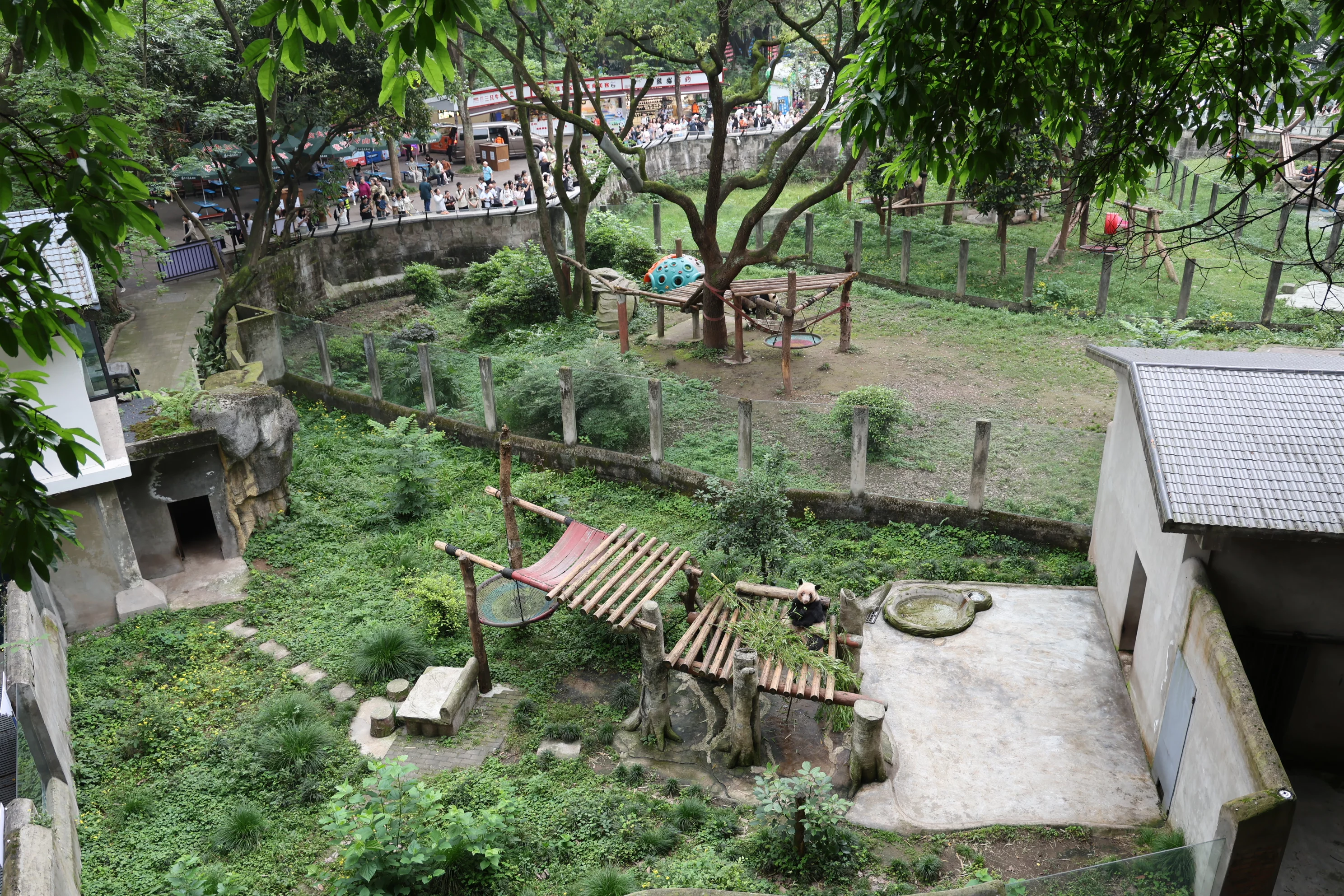 Chongqing Zoo
