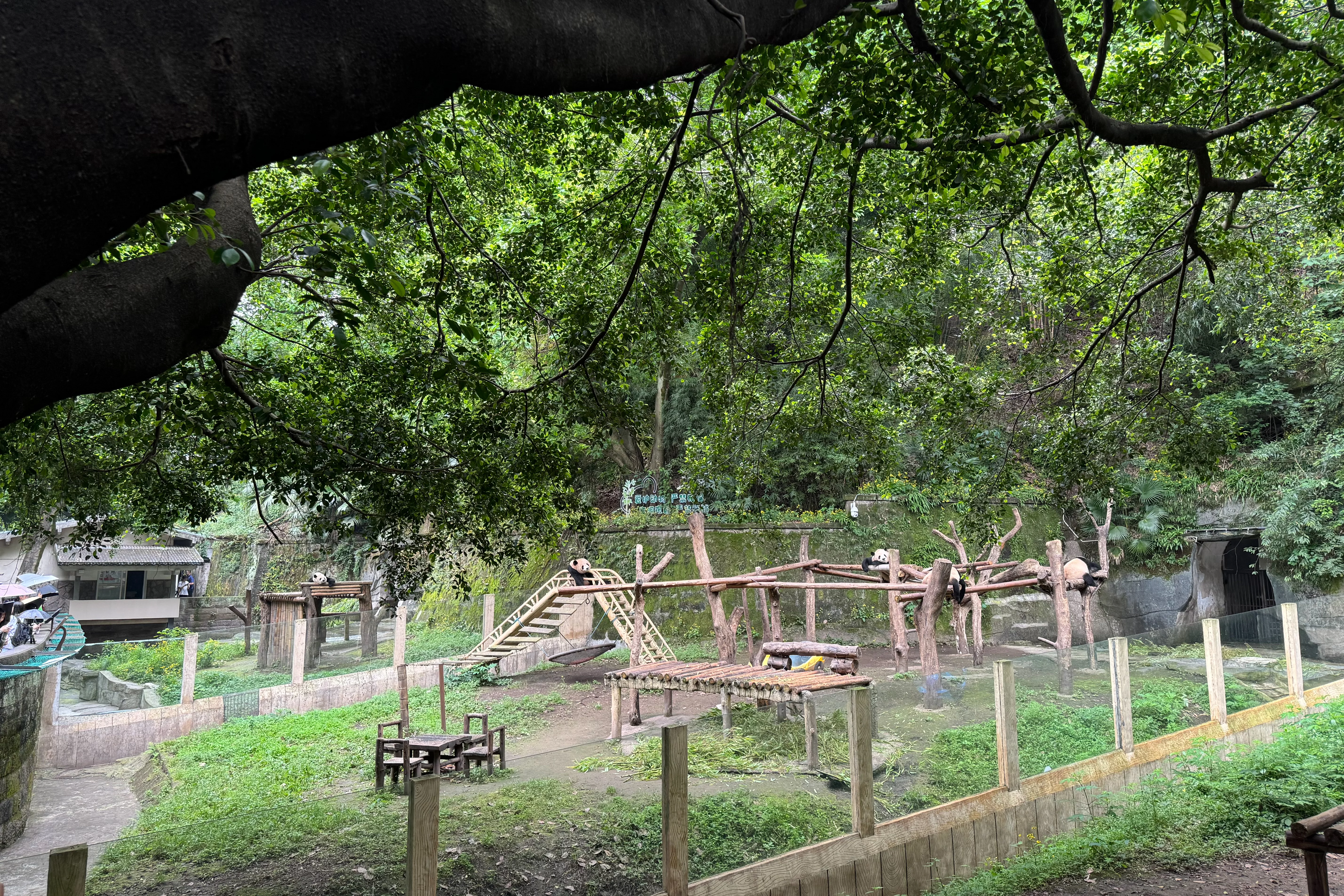 Chongqing Zoo