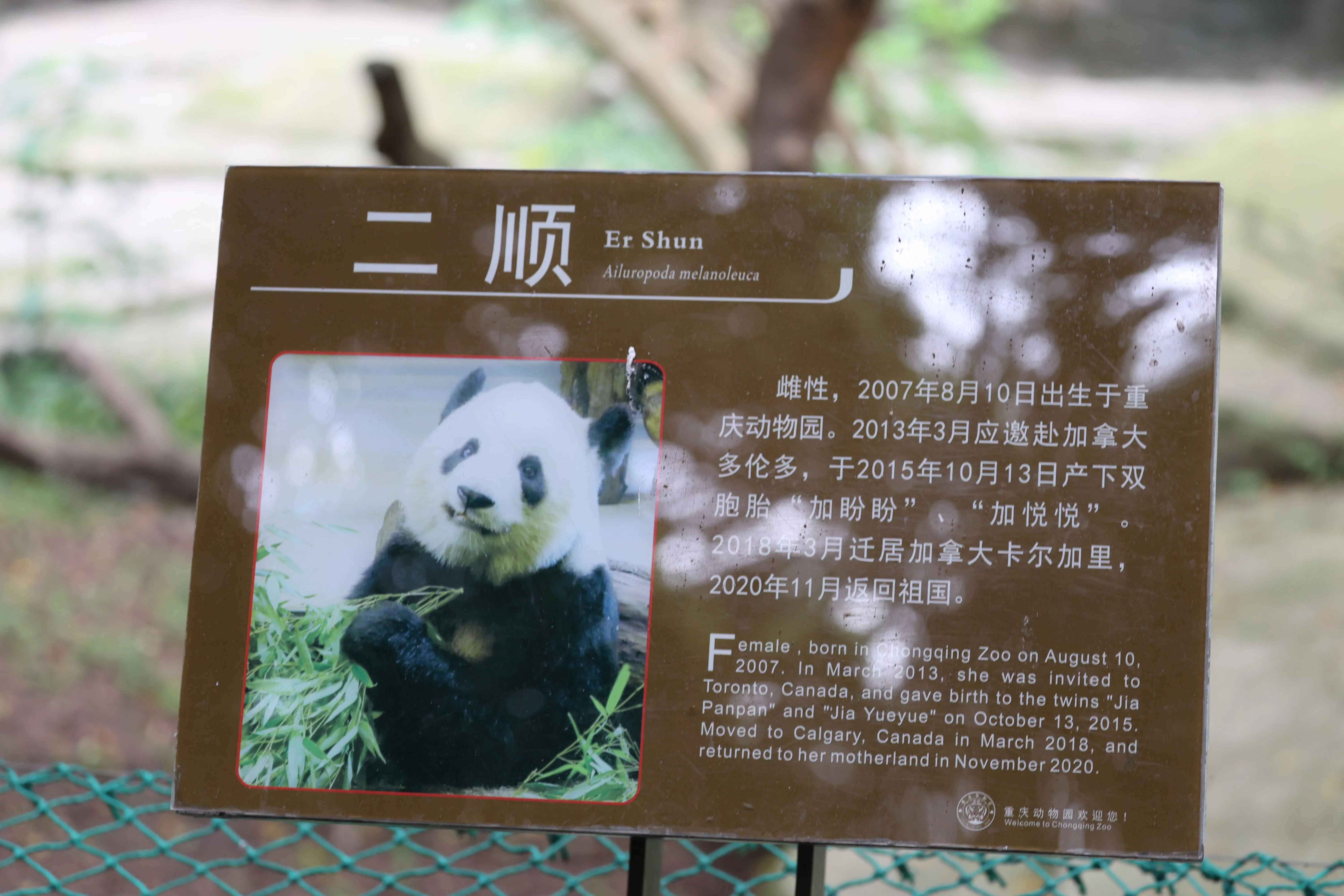 Chongqing Zoo