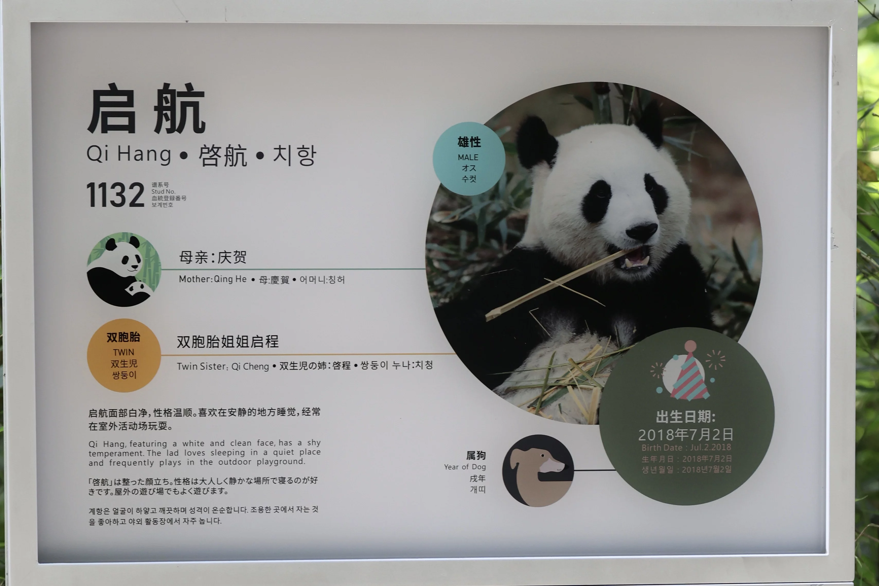 Chengdu Field Research Centre for Giant Pandas of CRBGPB