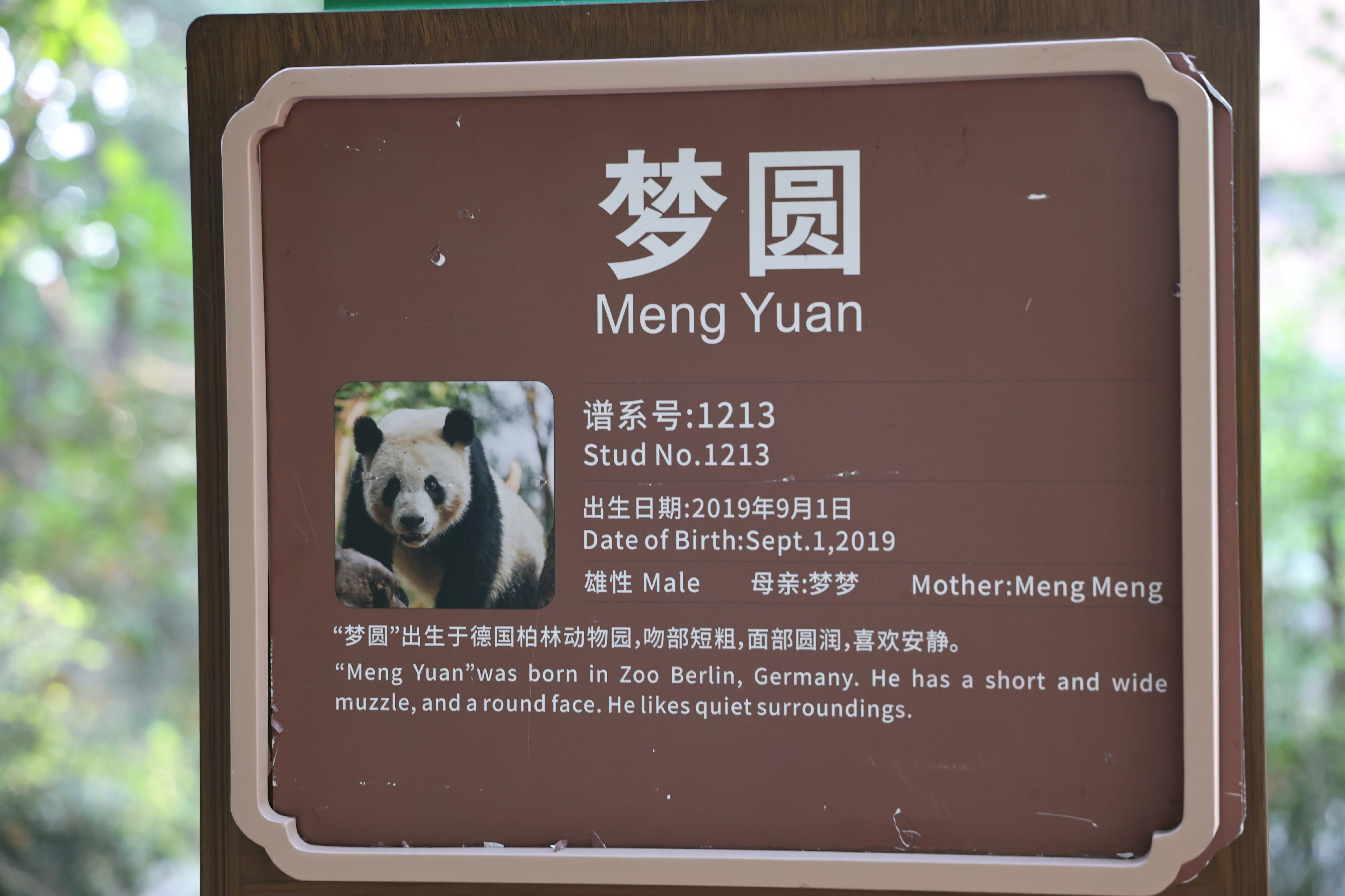 Chengdu Research Base of Giant Panda Breeding