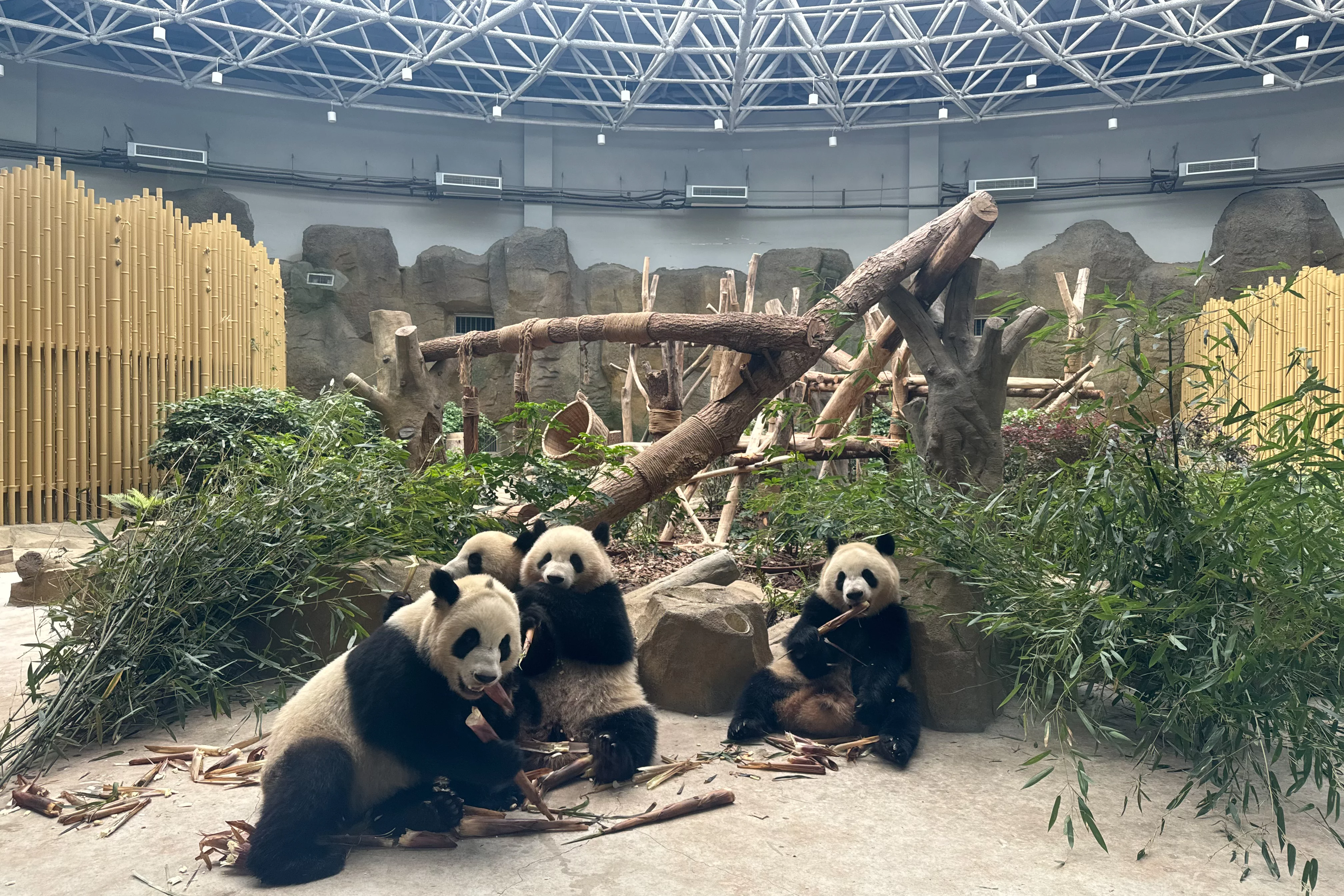 Chengdu Research Base of Giant Panda Breeding